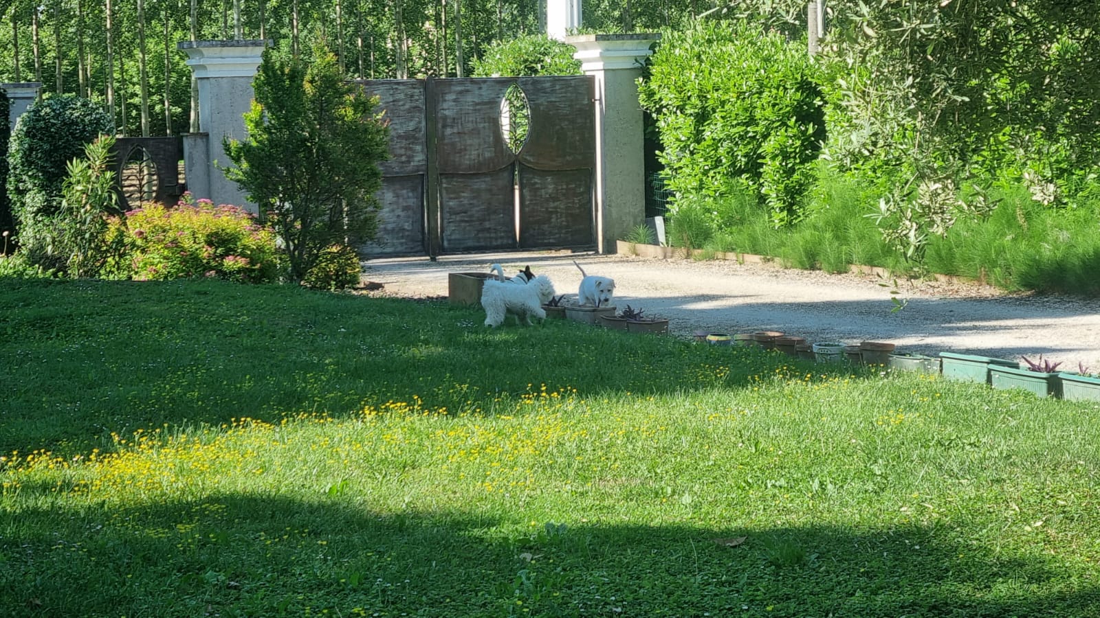 image-16
