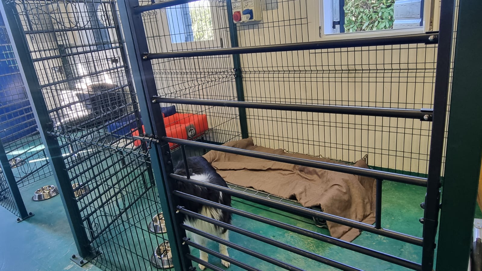 image-18