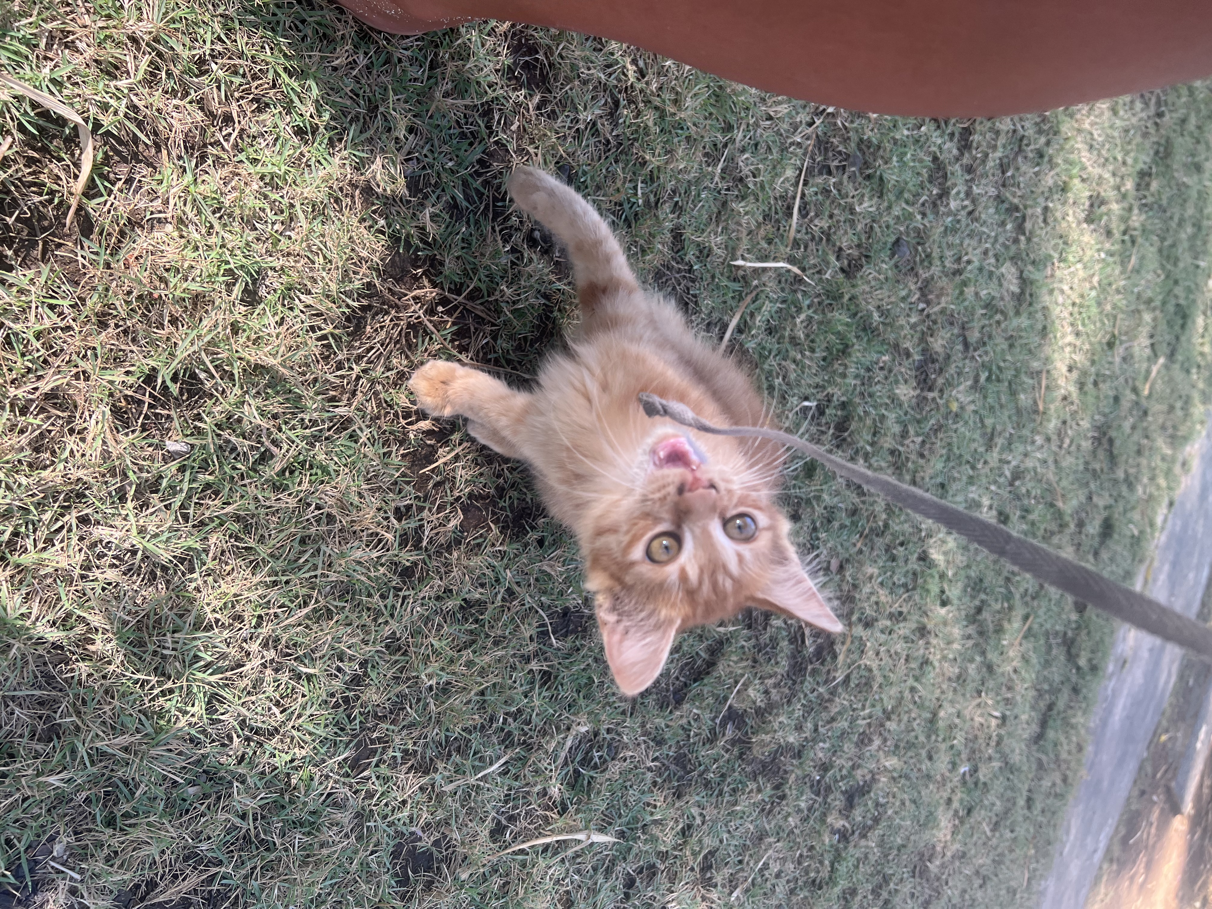 image-6