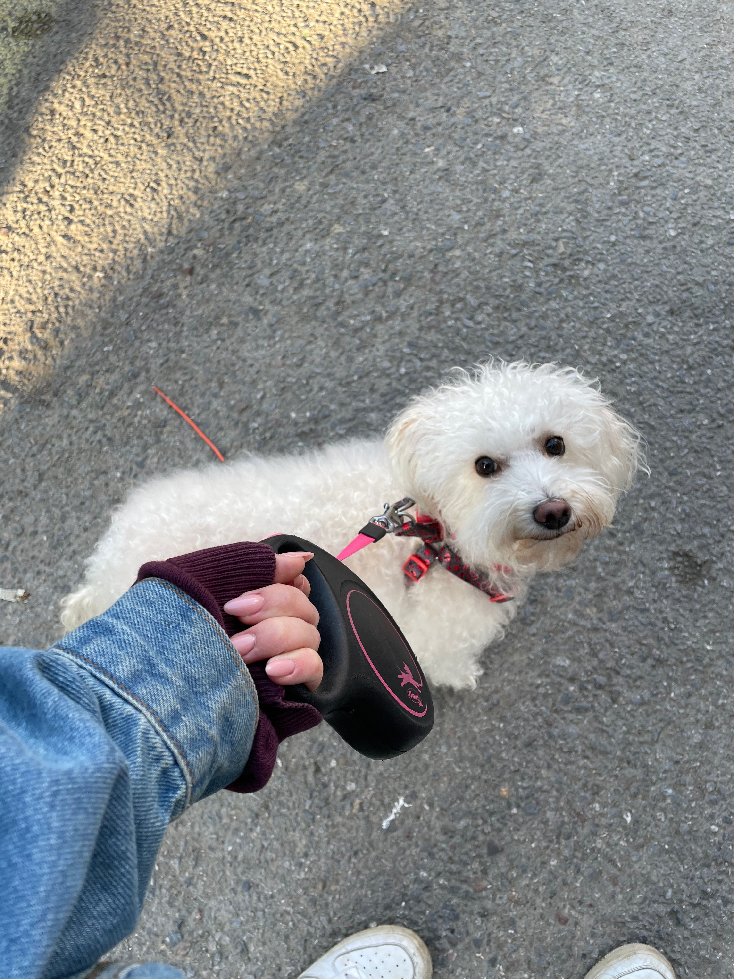 image-7