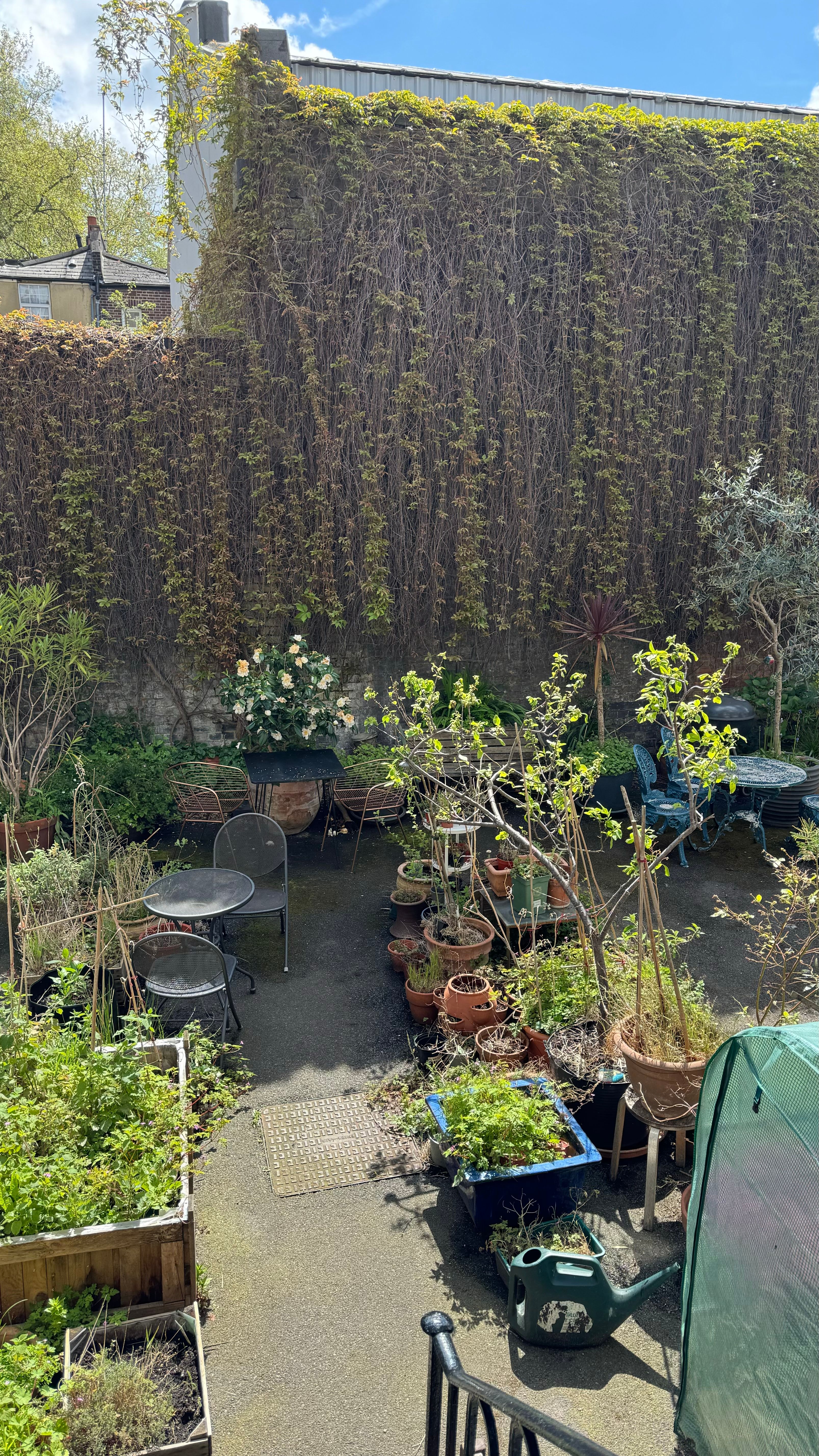 image-10