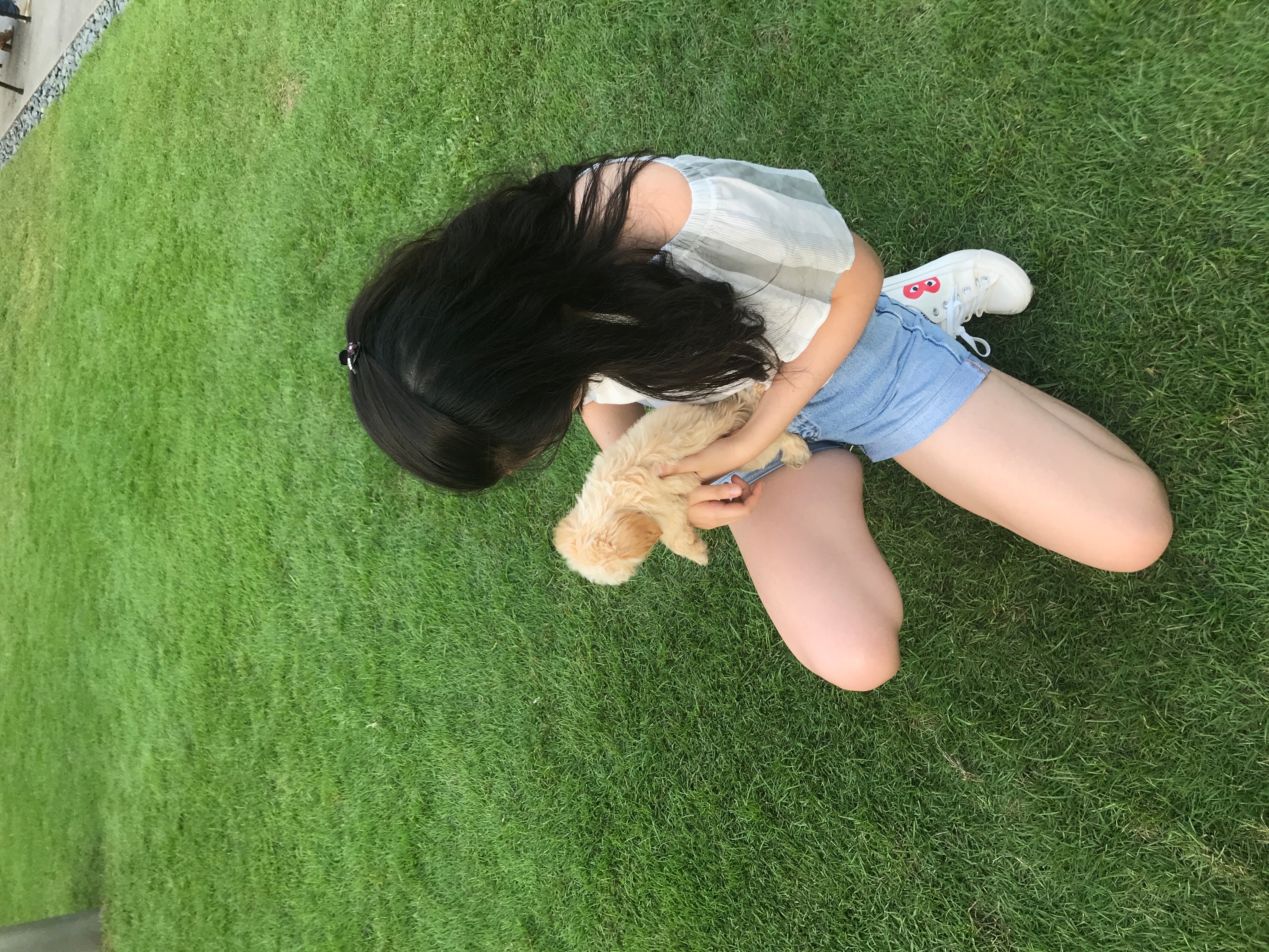 image-4