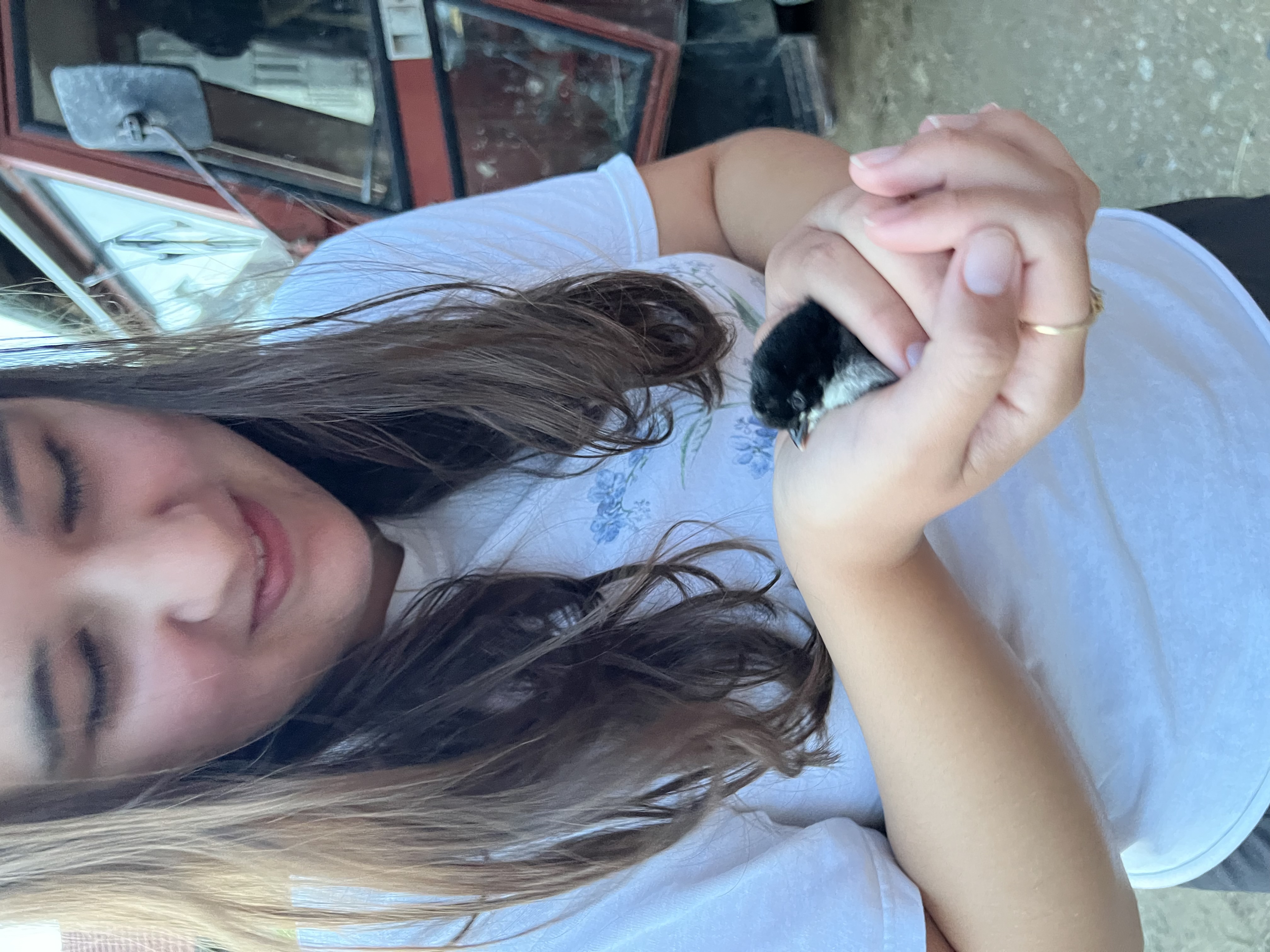 image-11