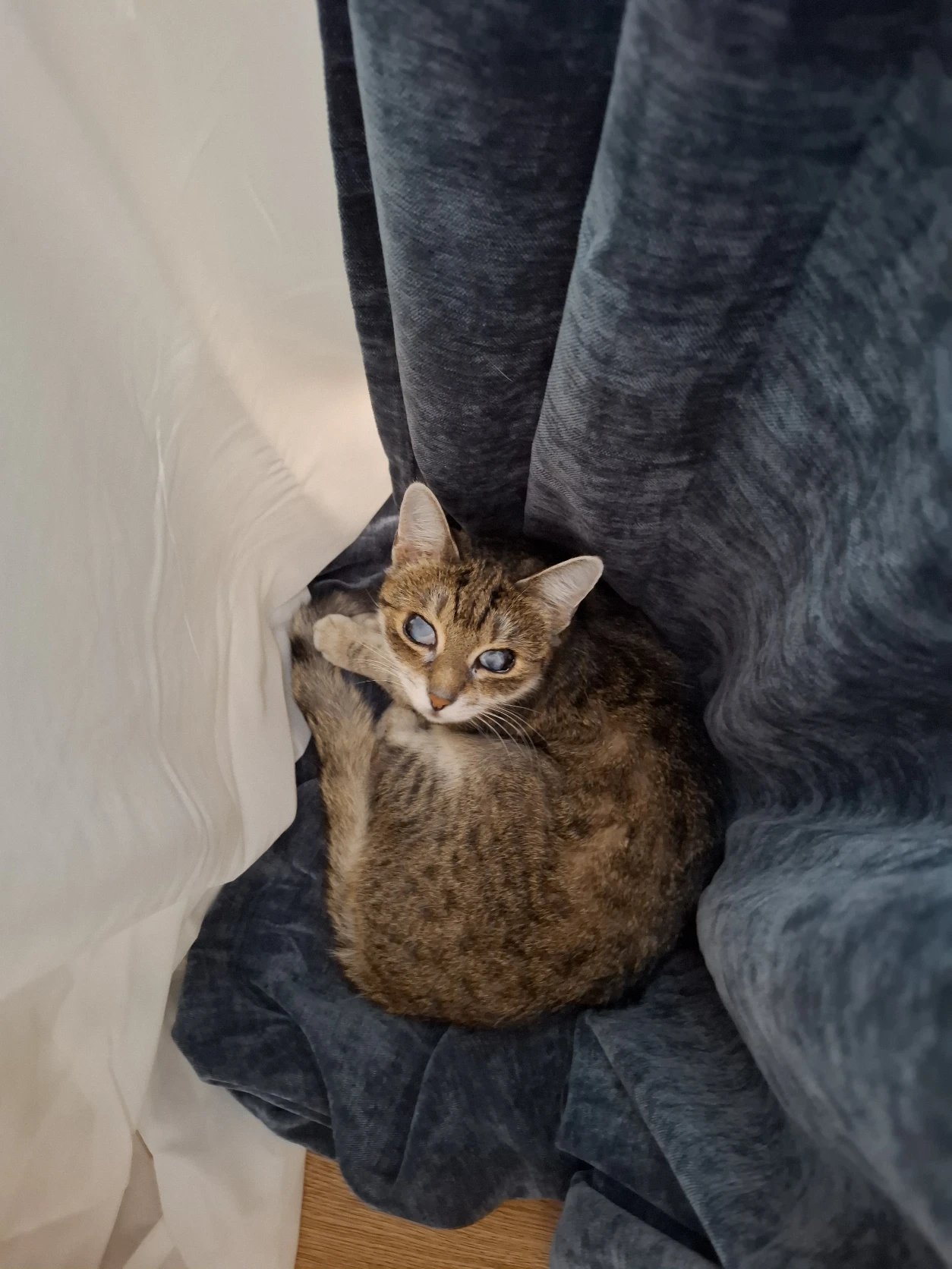 image-6