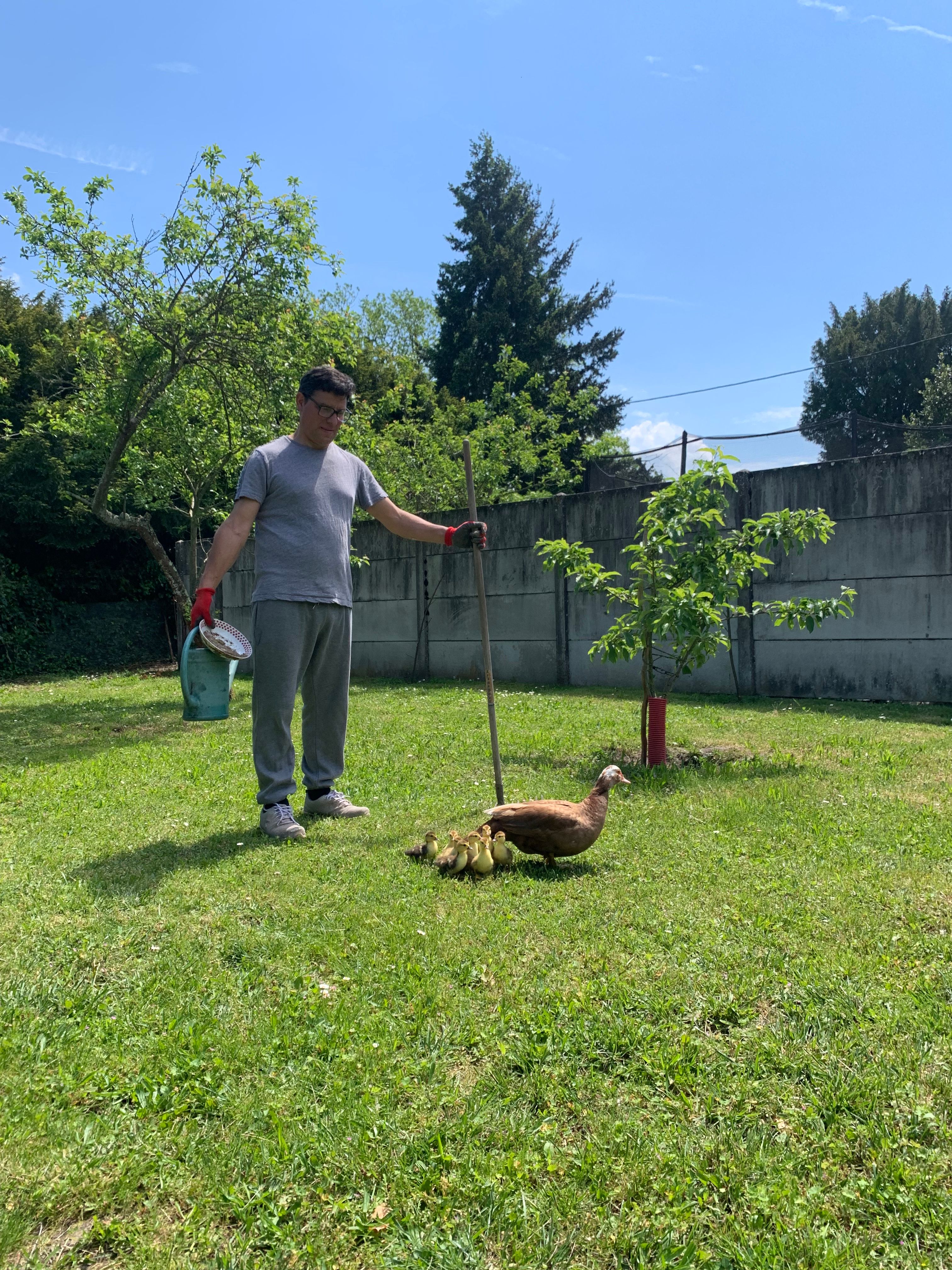 image-12