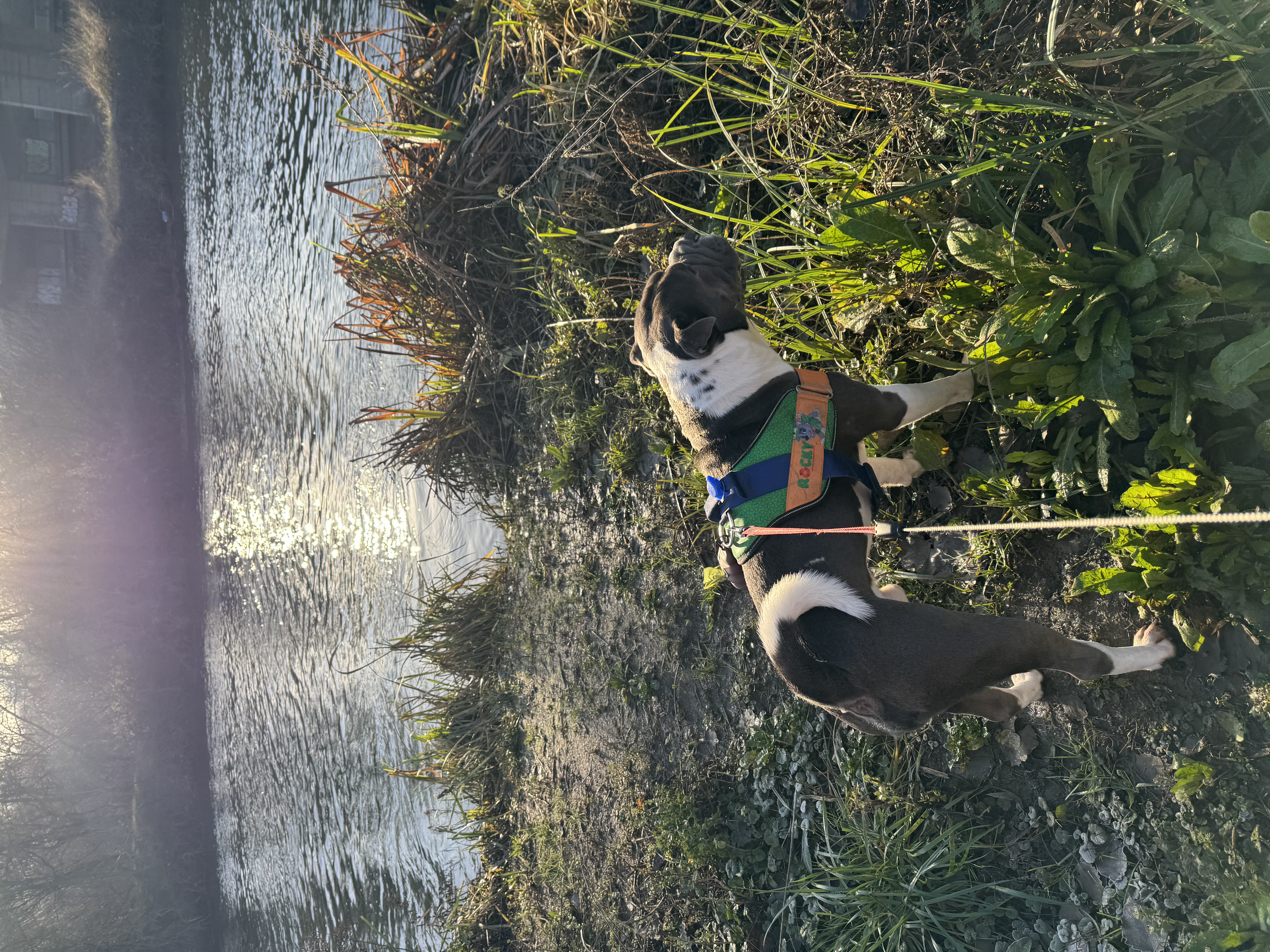 image-6