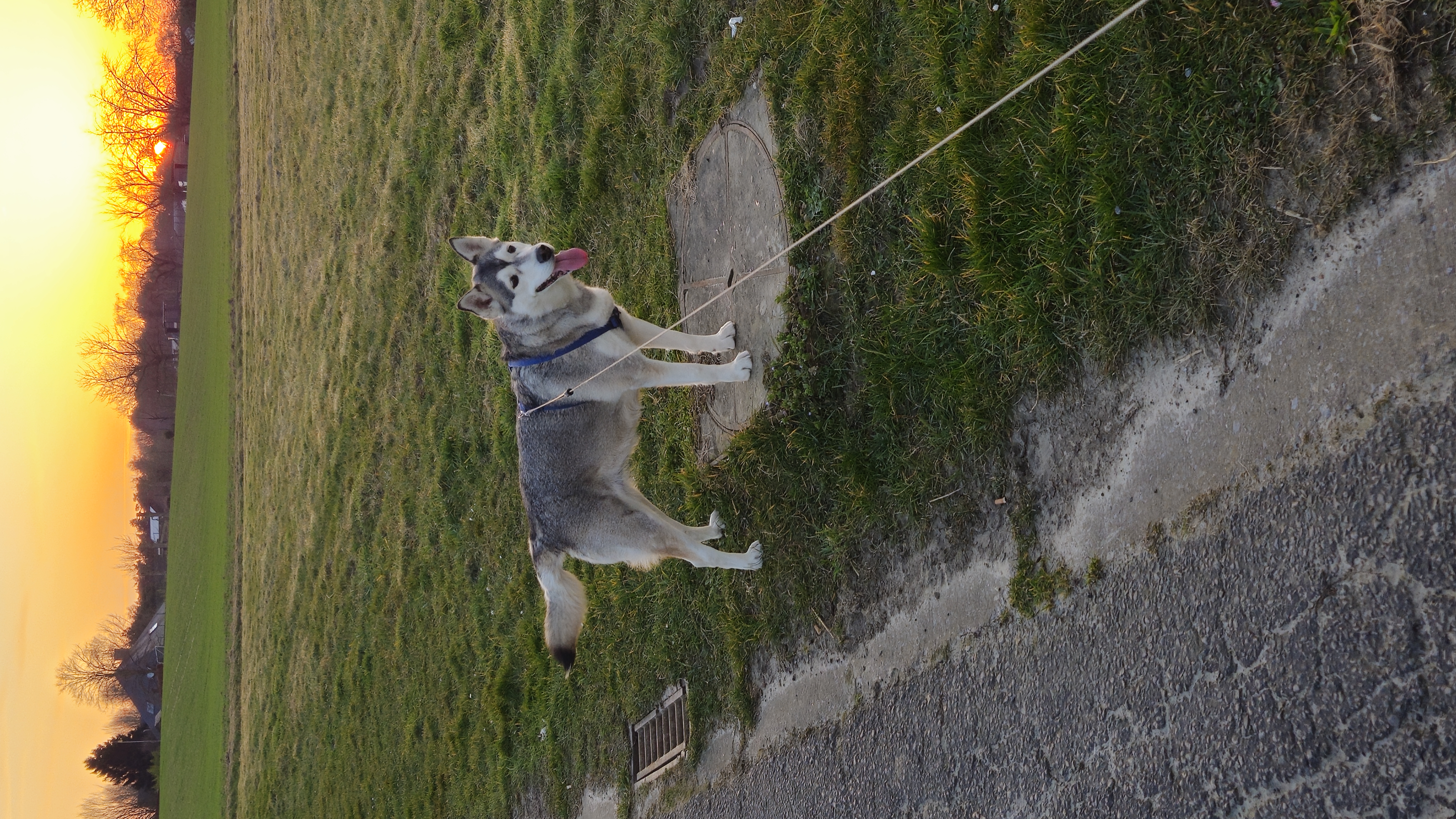 image-9