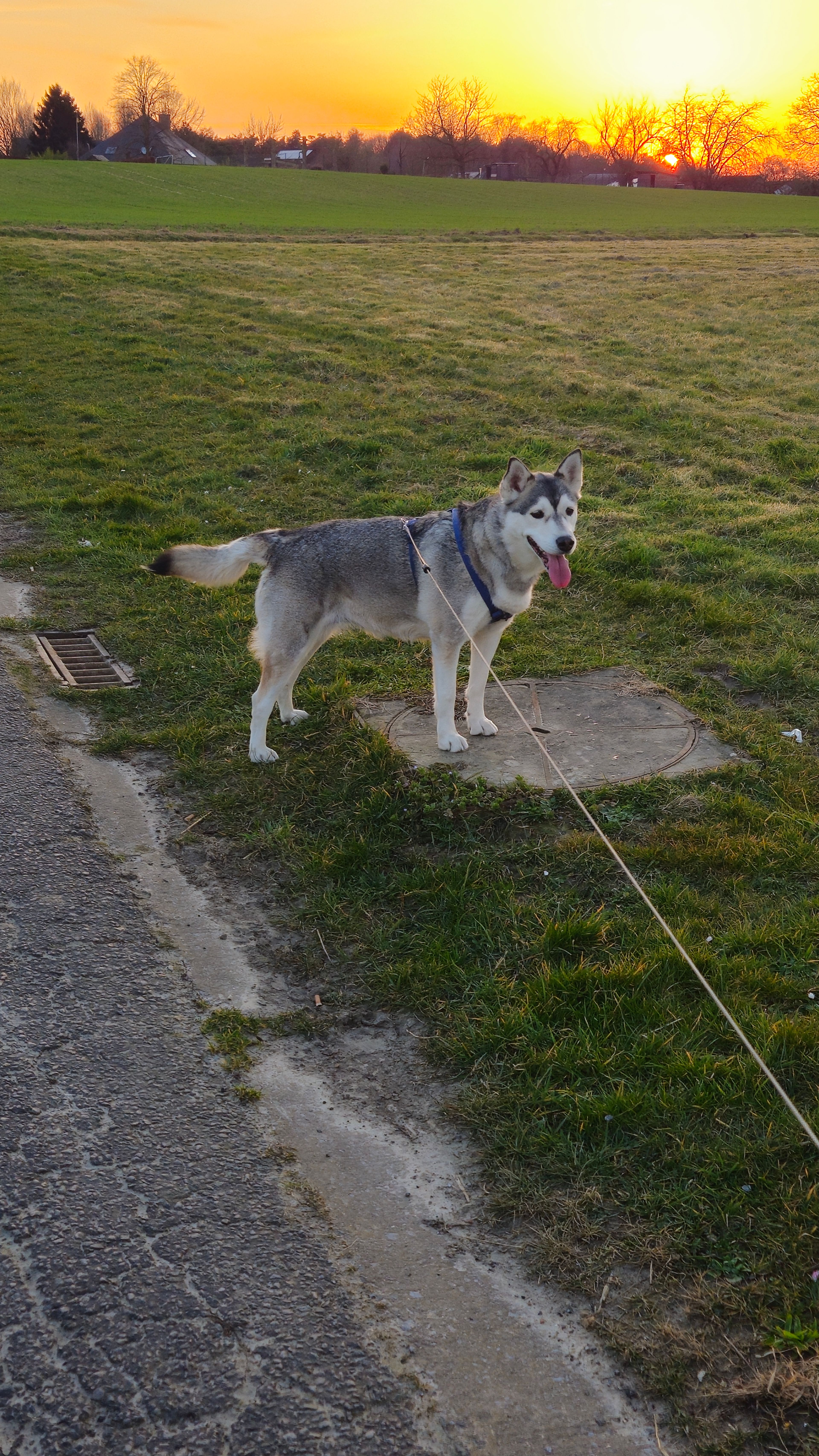 image-9