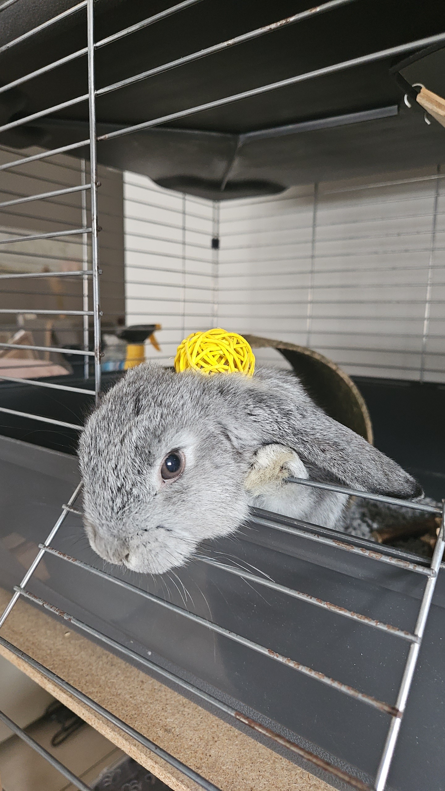 image-10