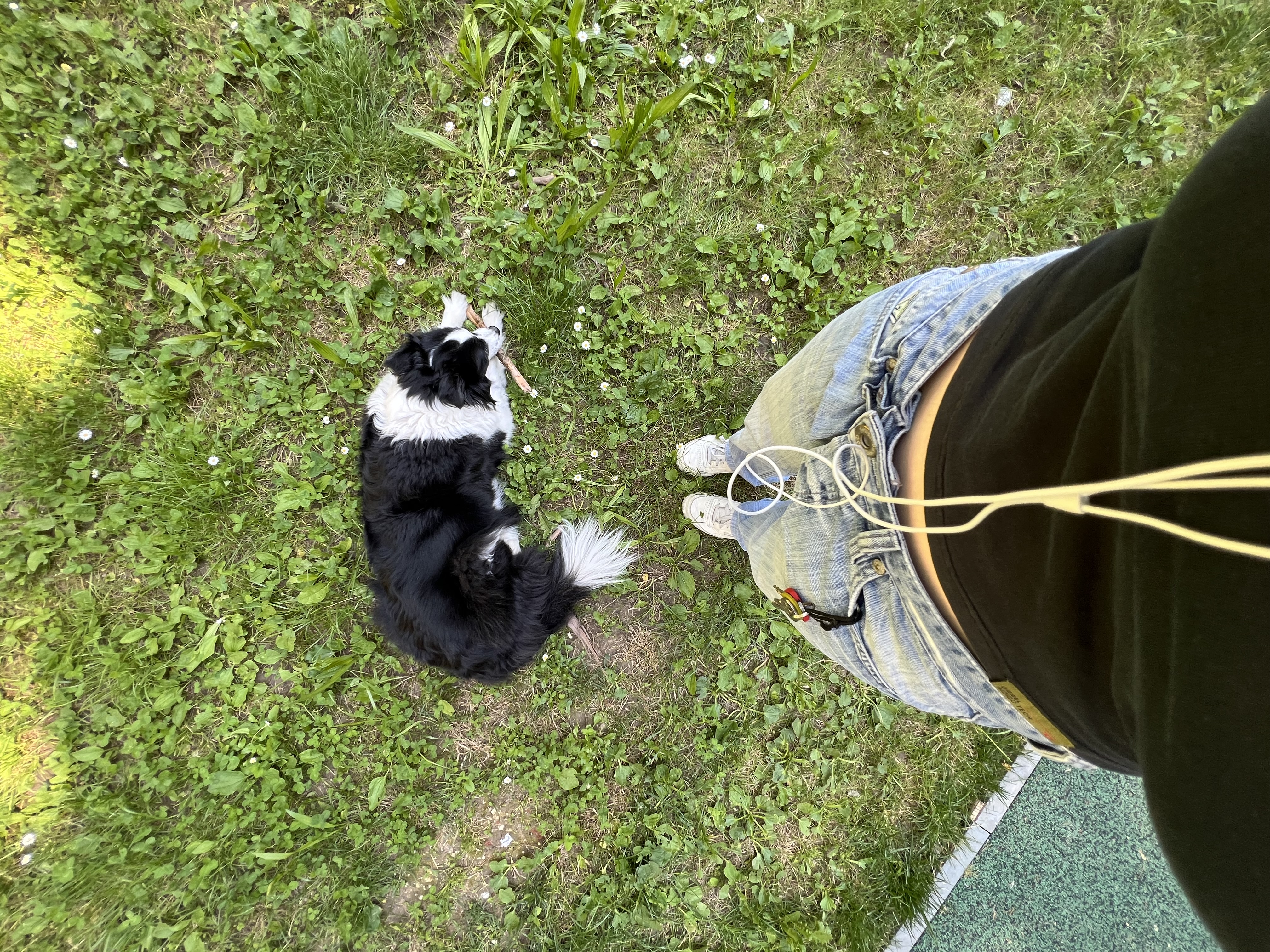 image-8