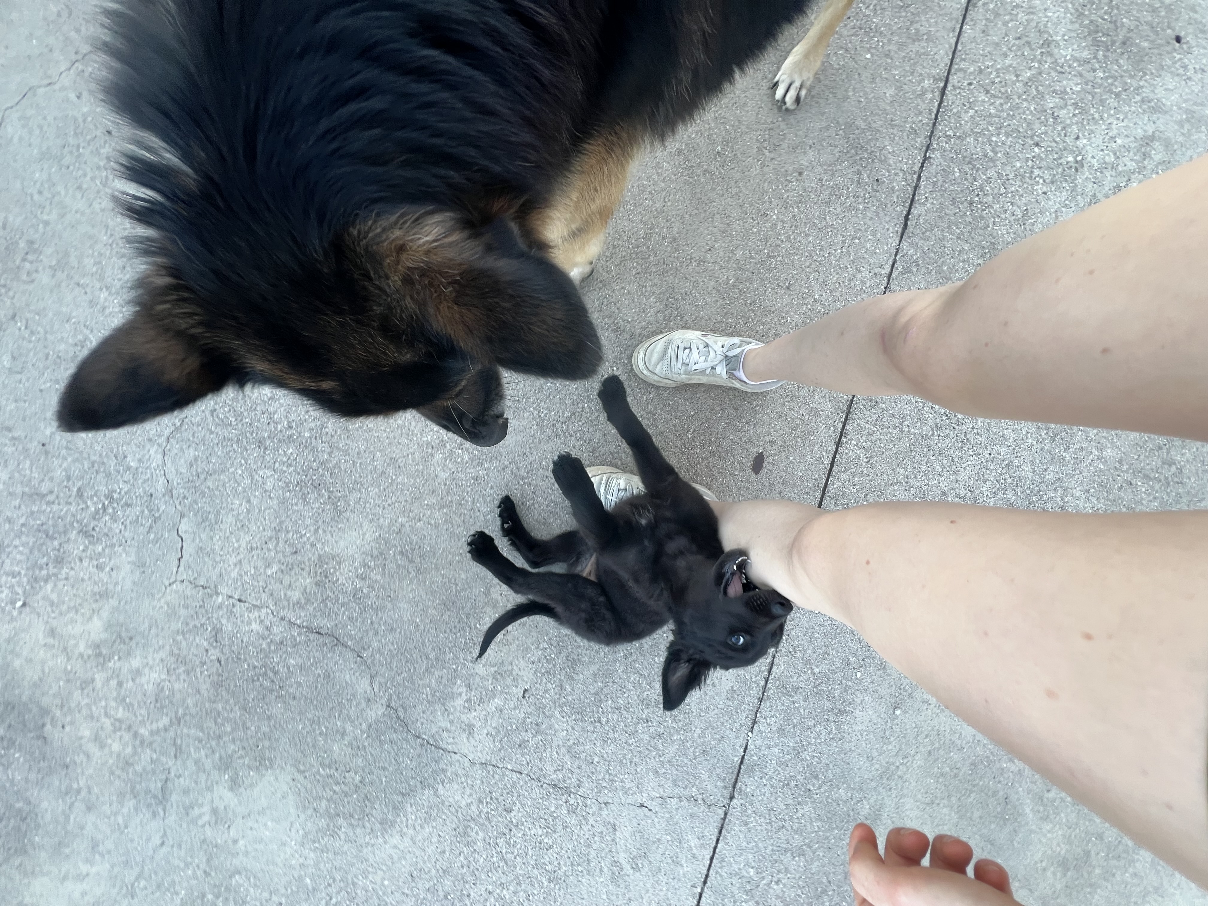 image-5
