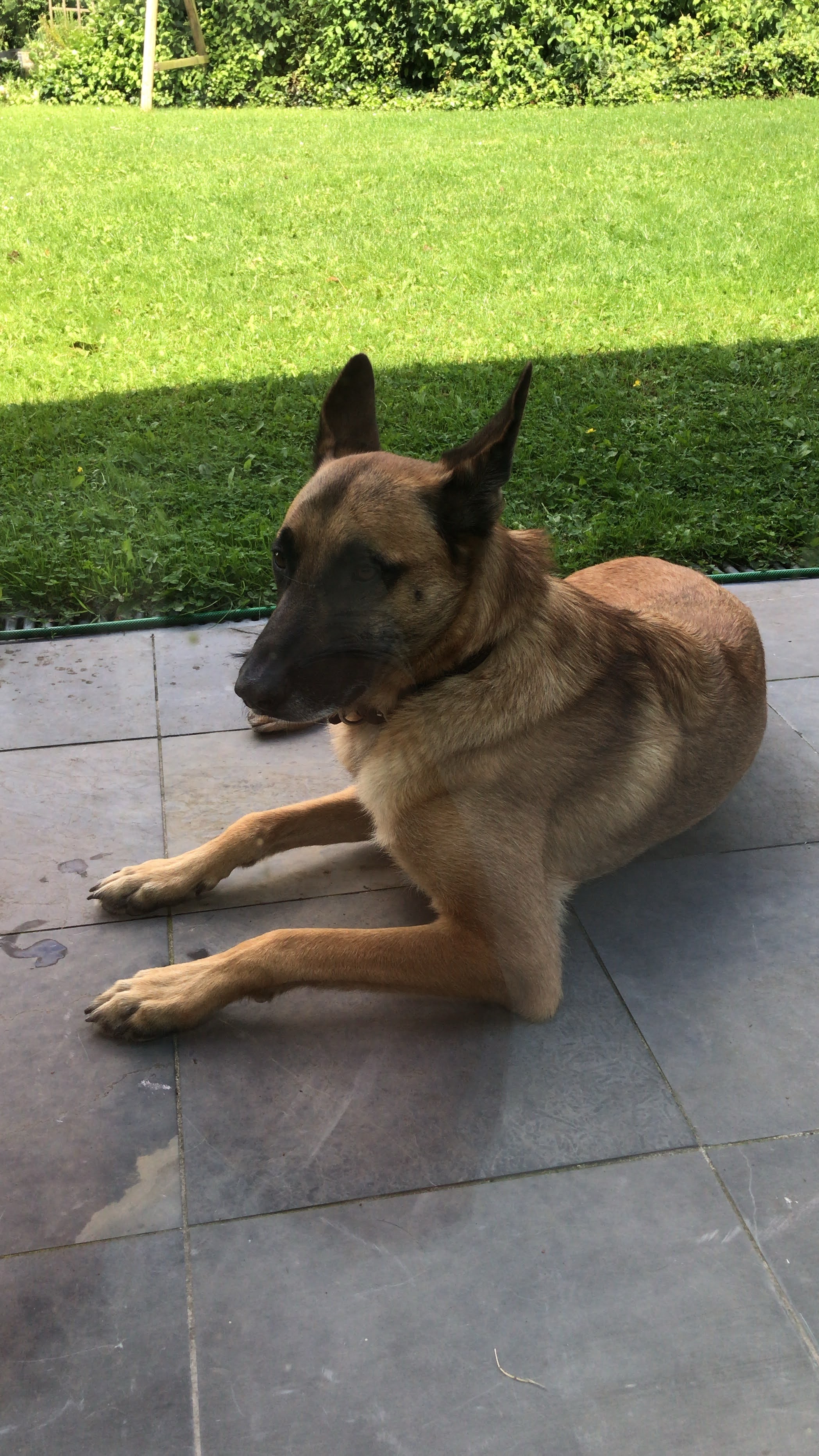 image-12