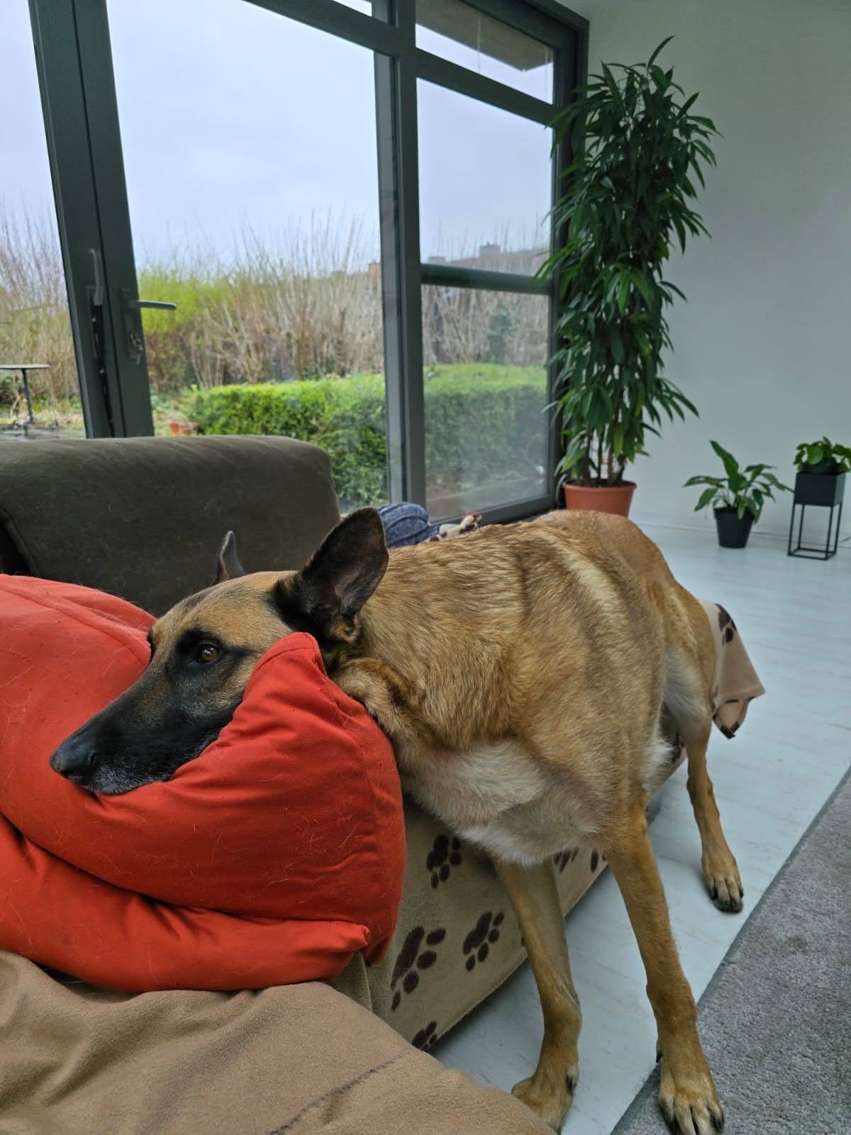 image-13