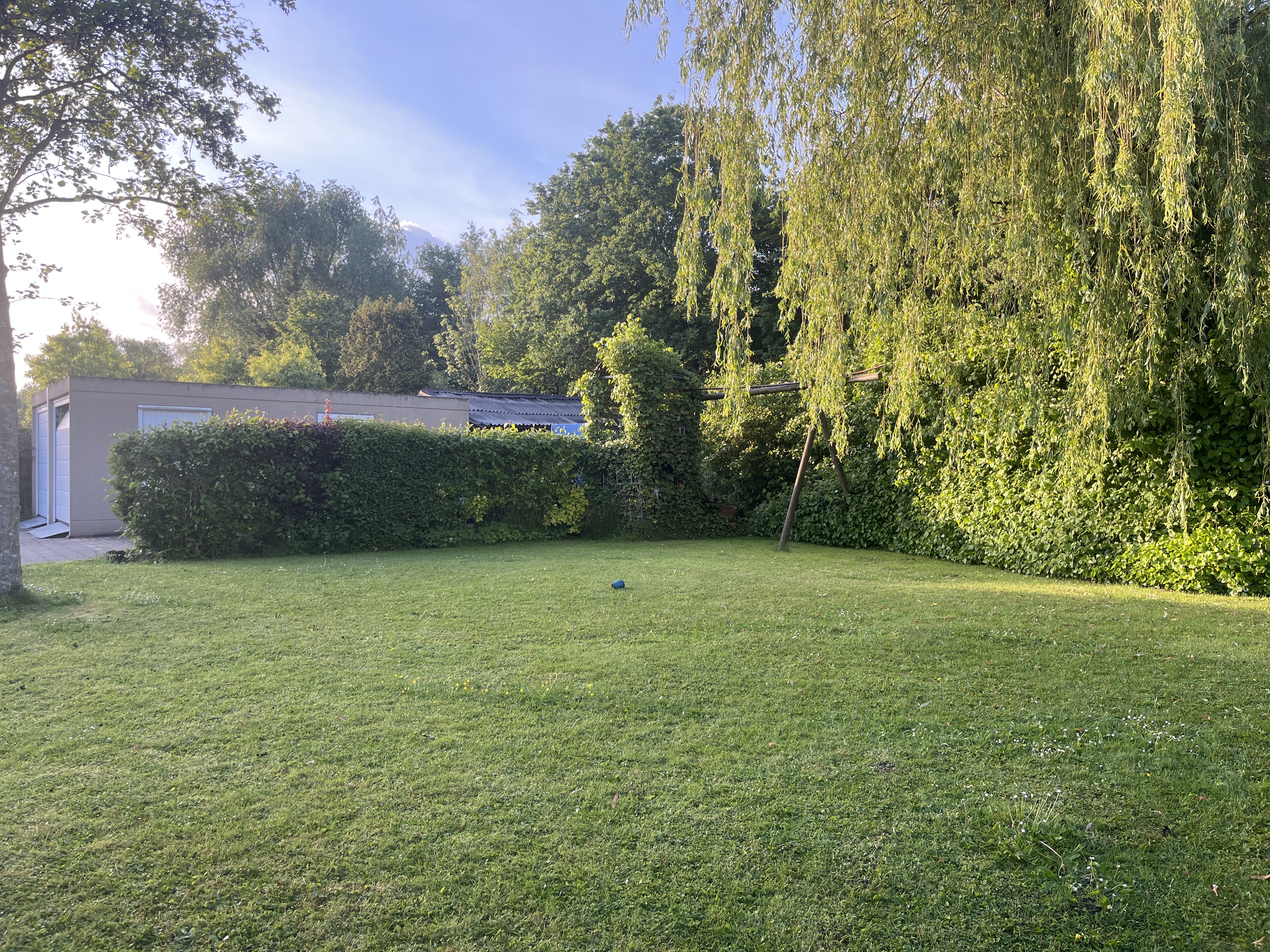 image-19