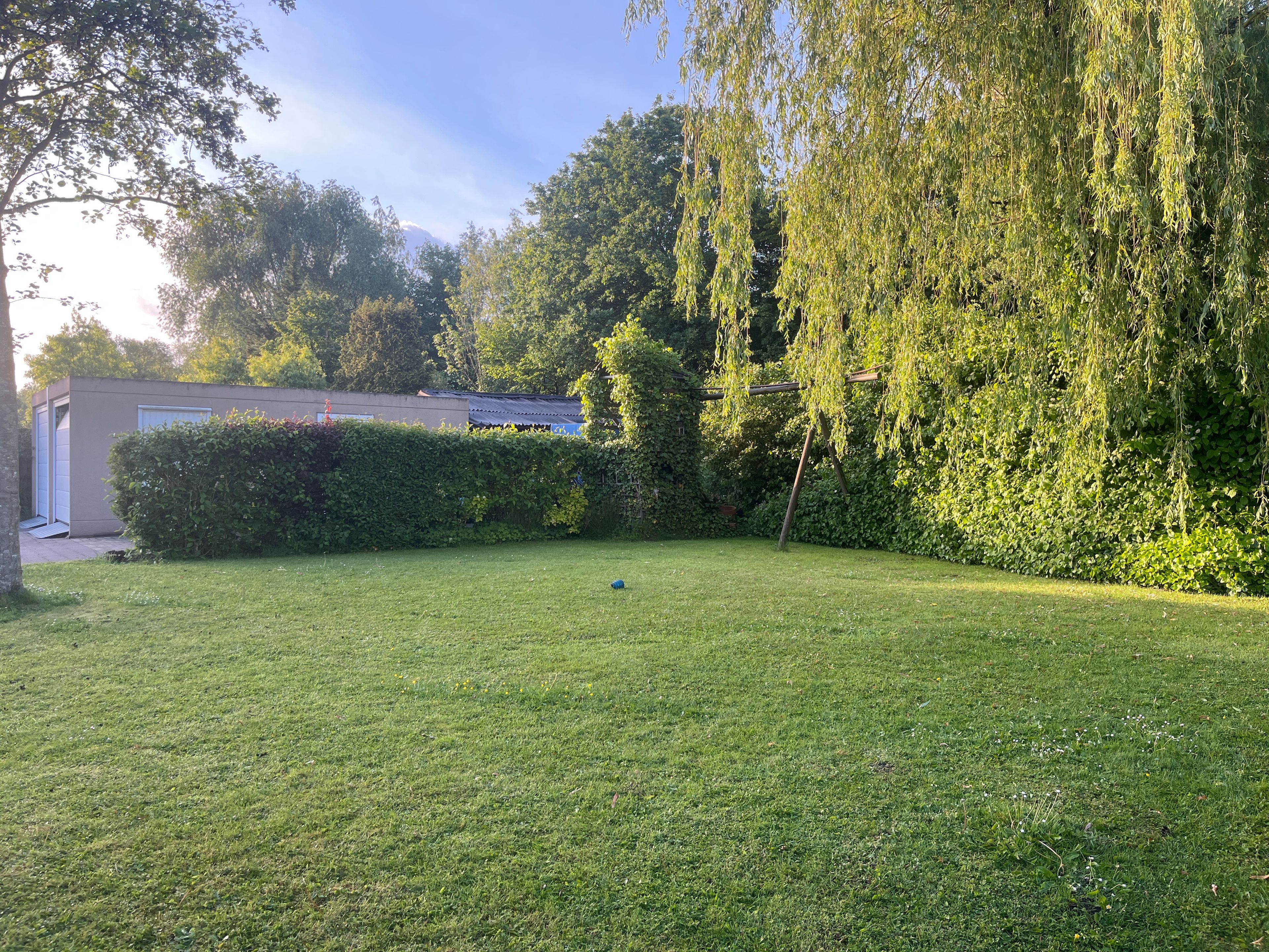 image-19