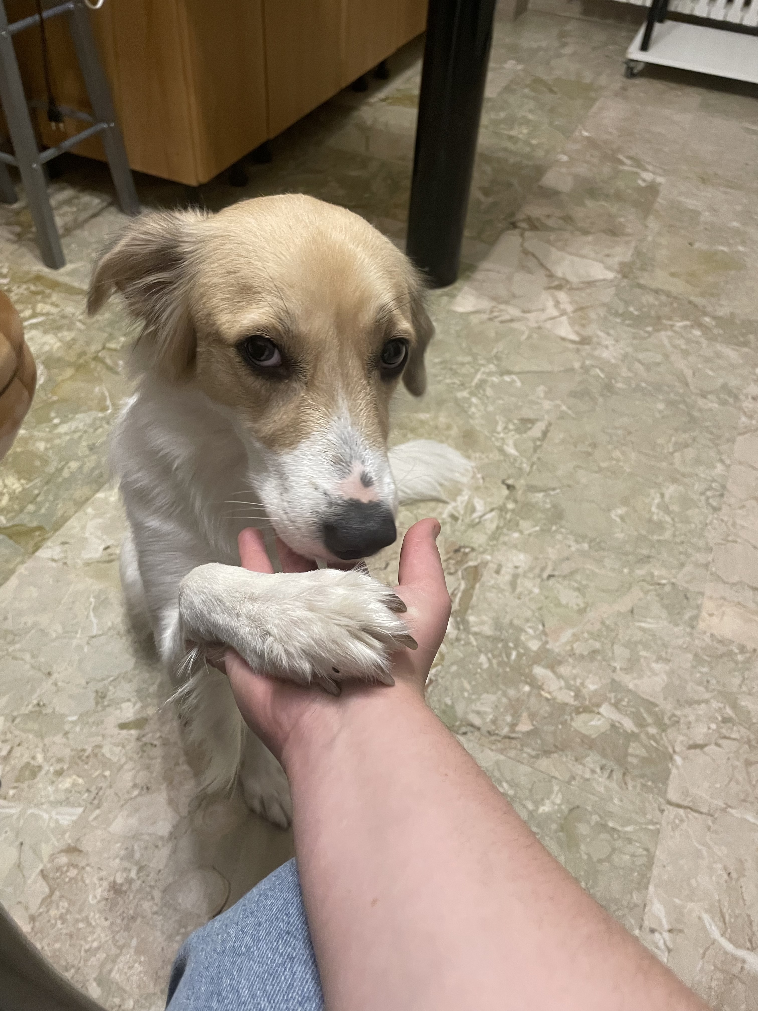 image-6