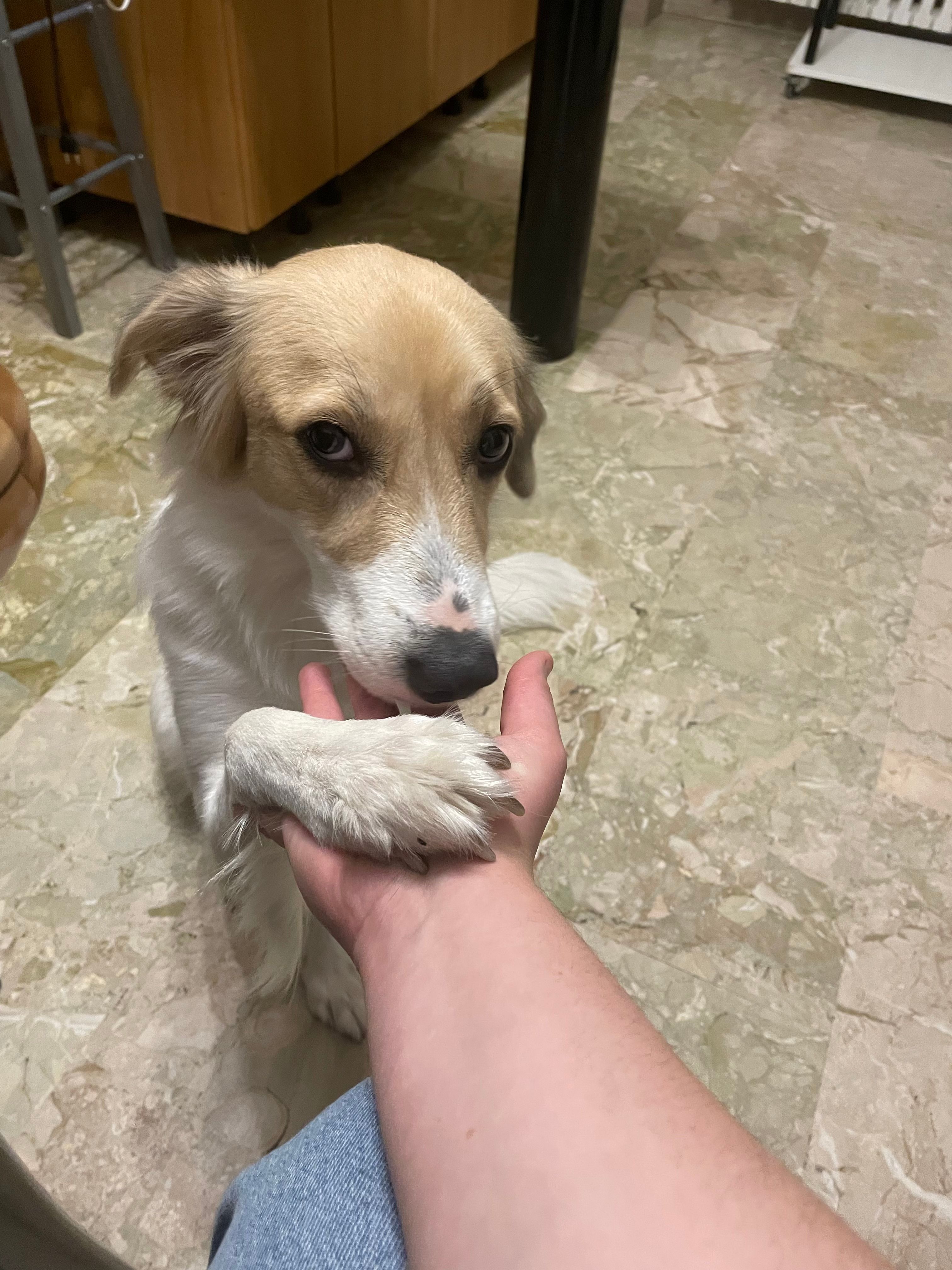 image-6