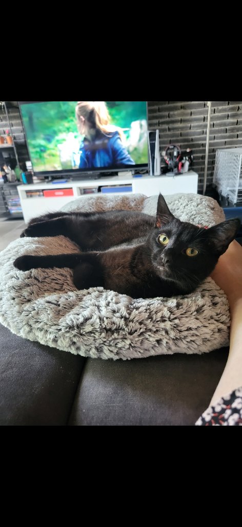 Loki