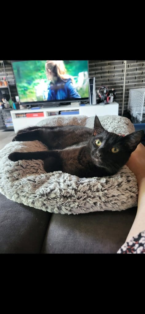 Loki