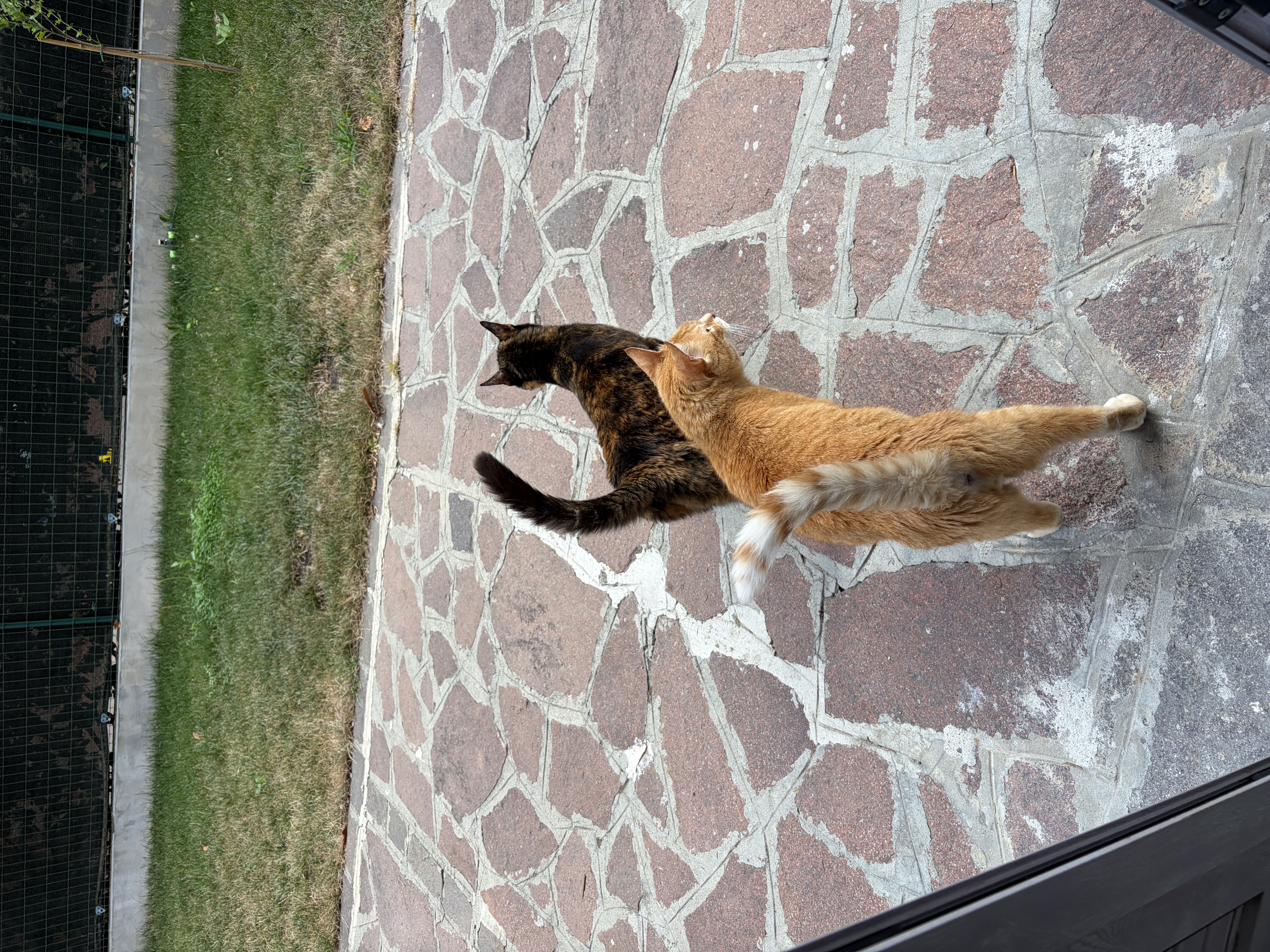image-24