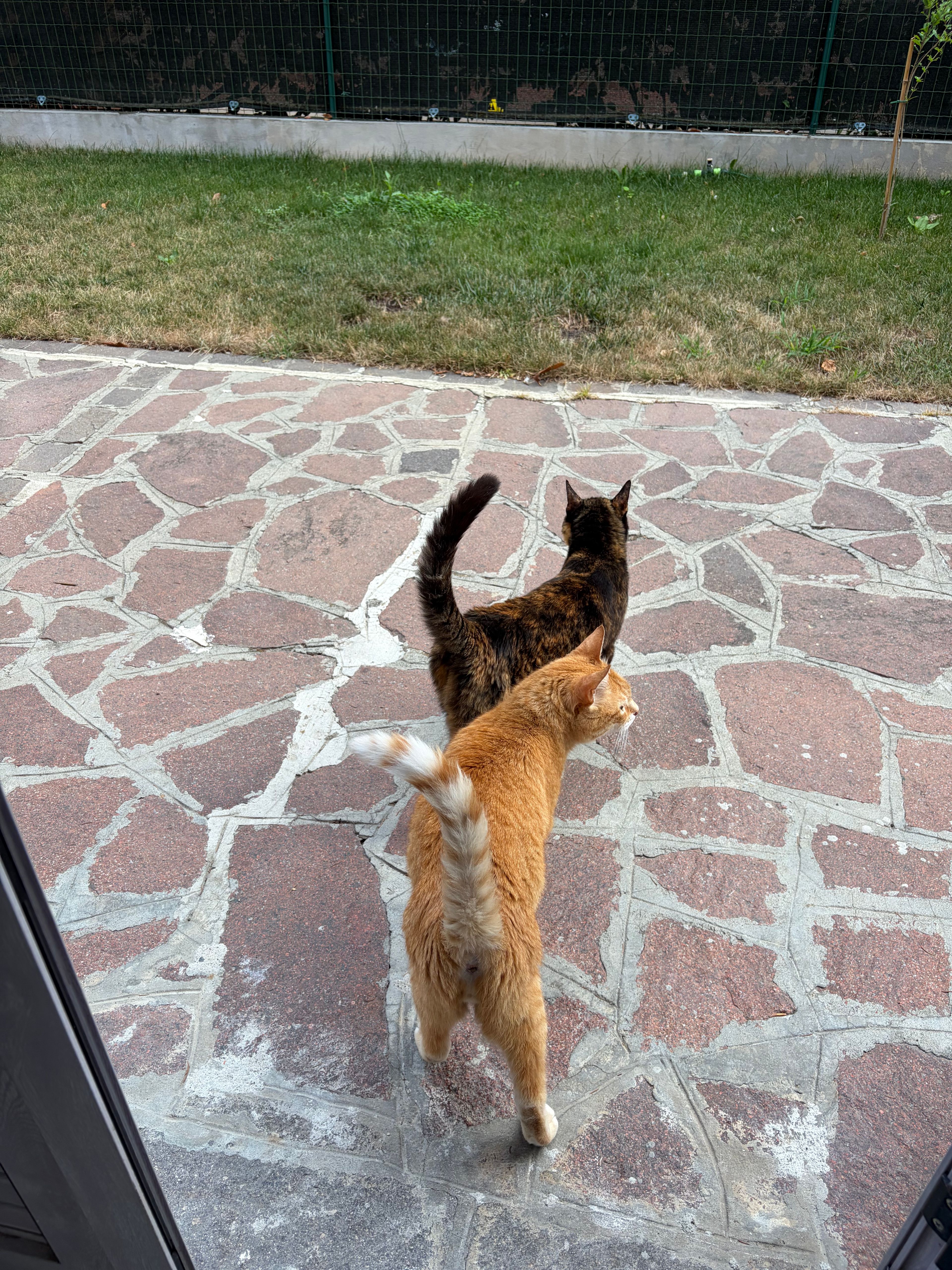 image-24