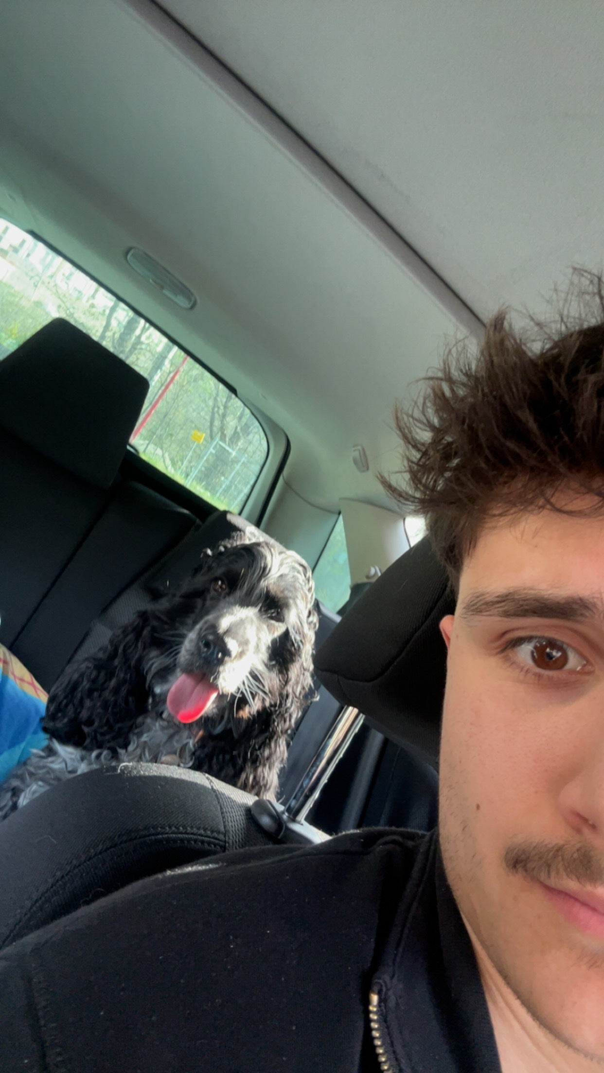 image-4