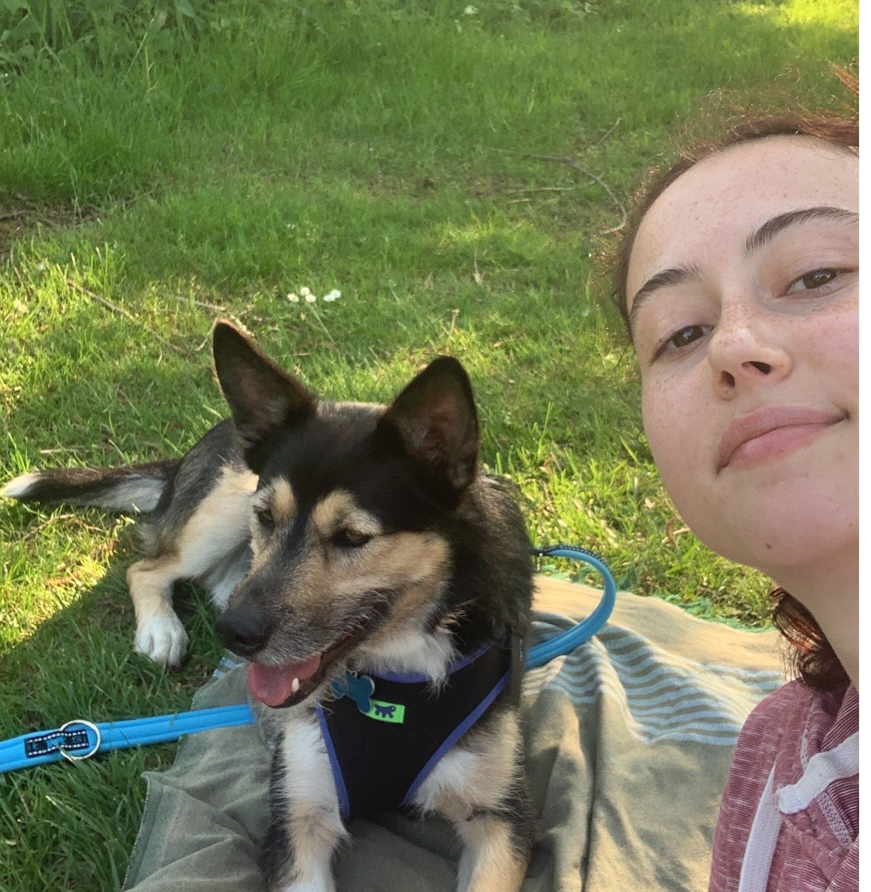 image-10