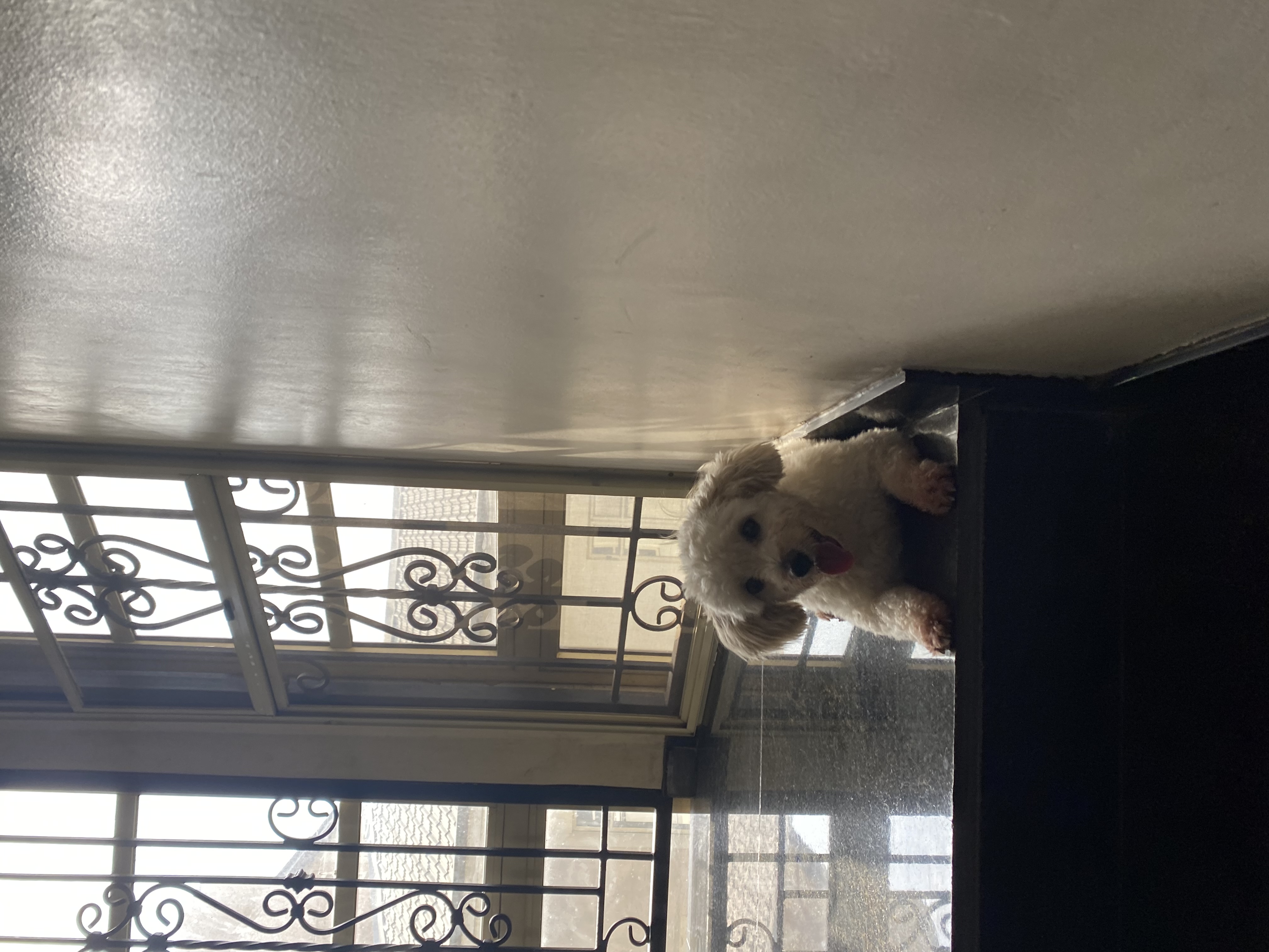 image-3