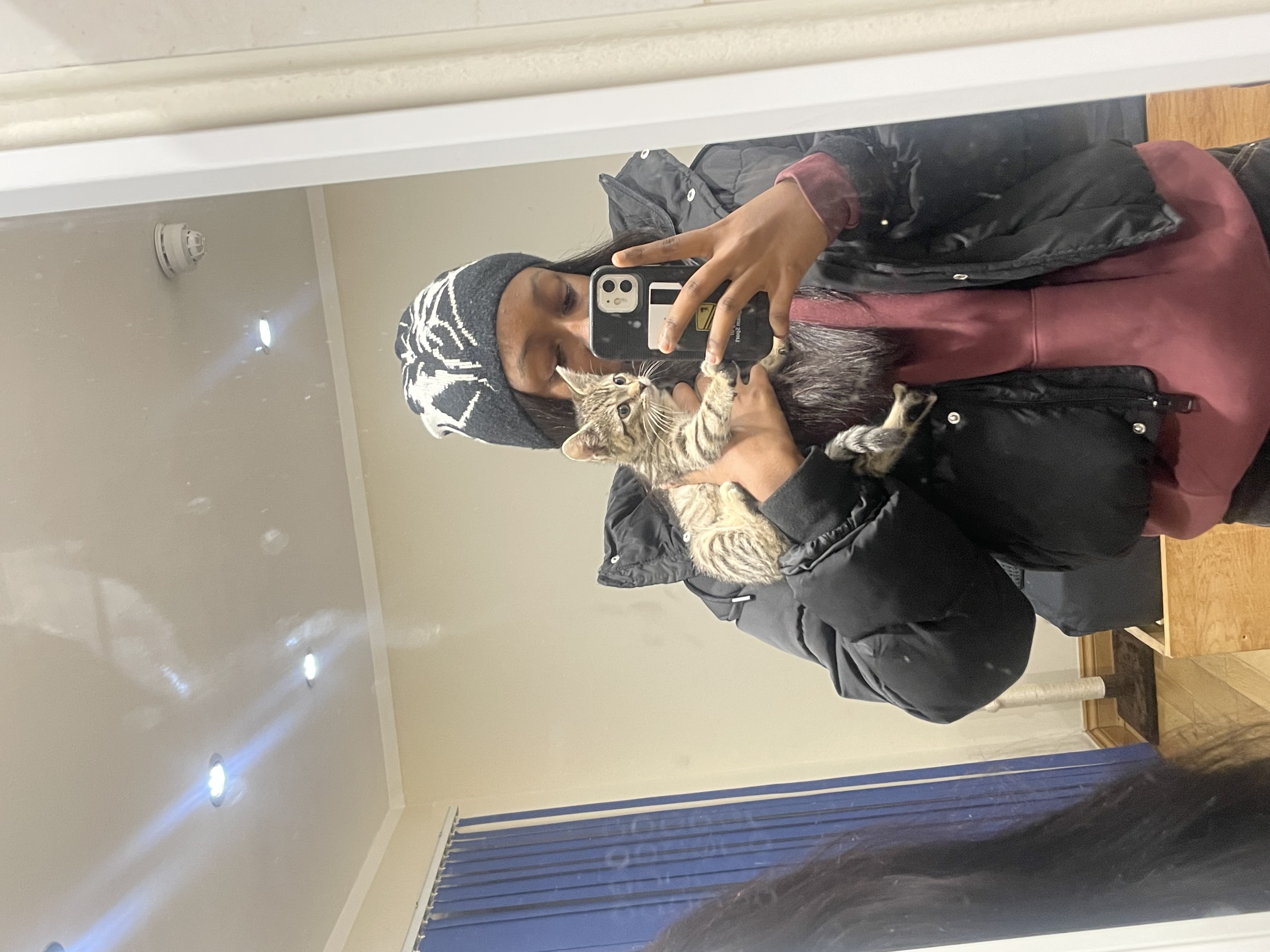 image-7