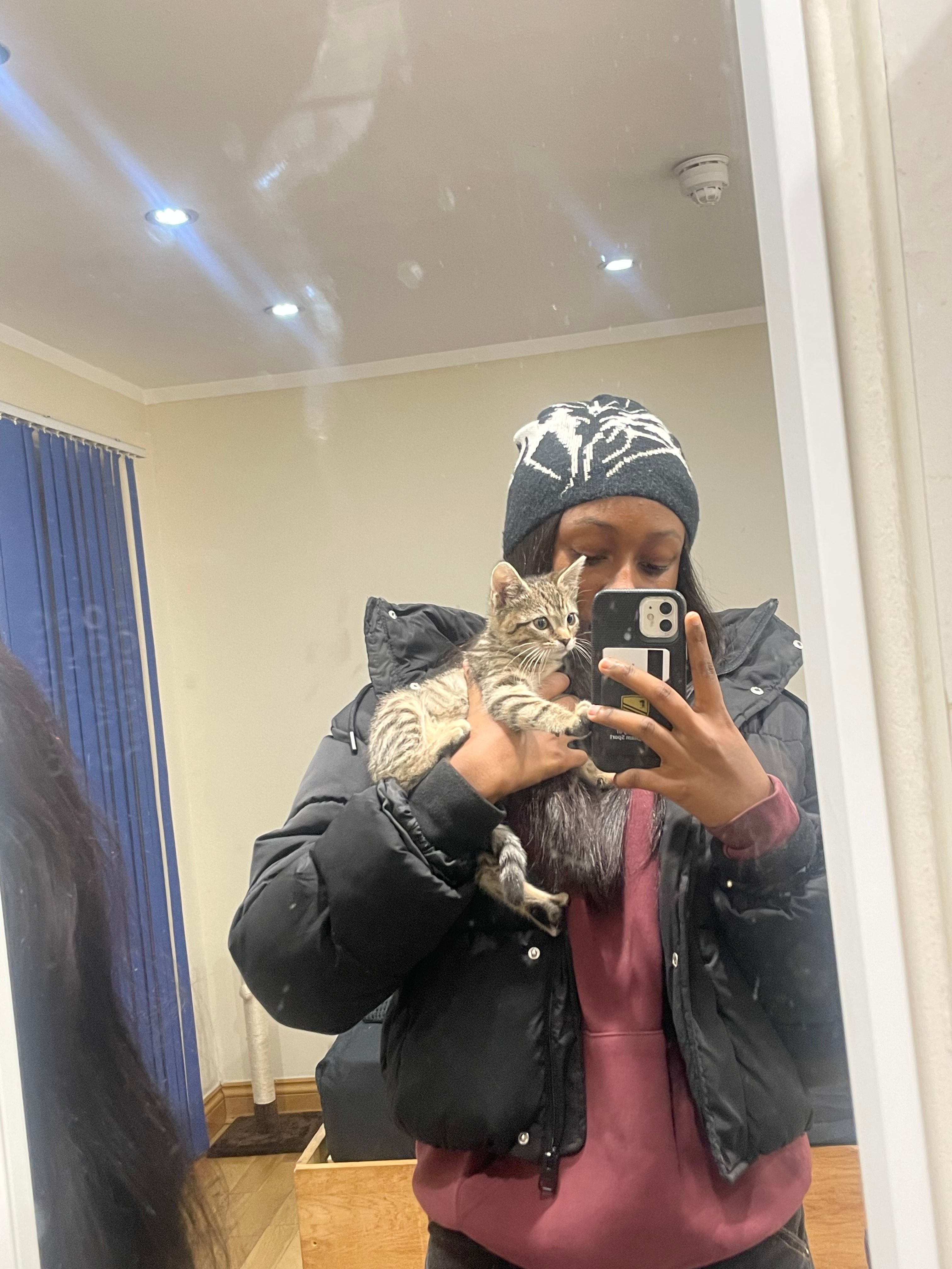 image-7