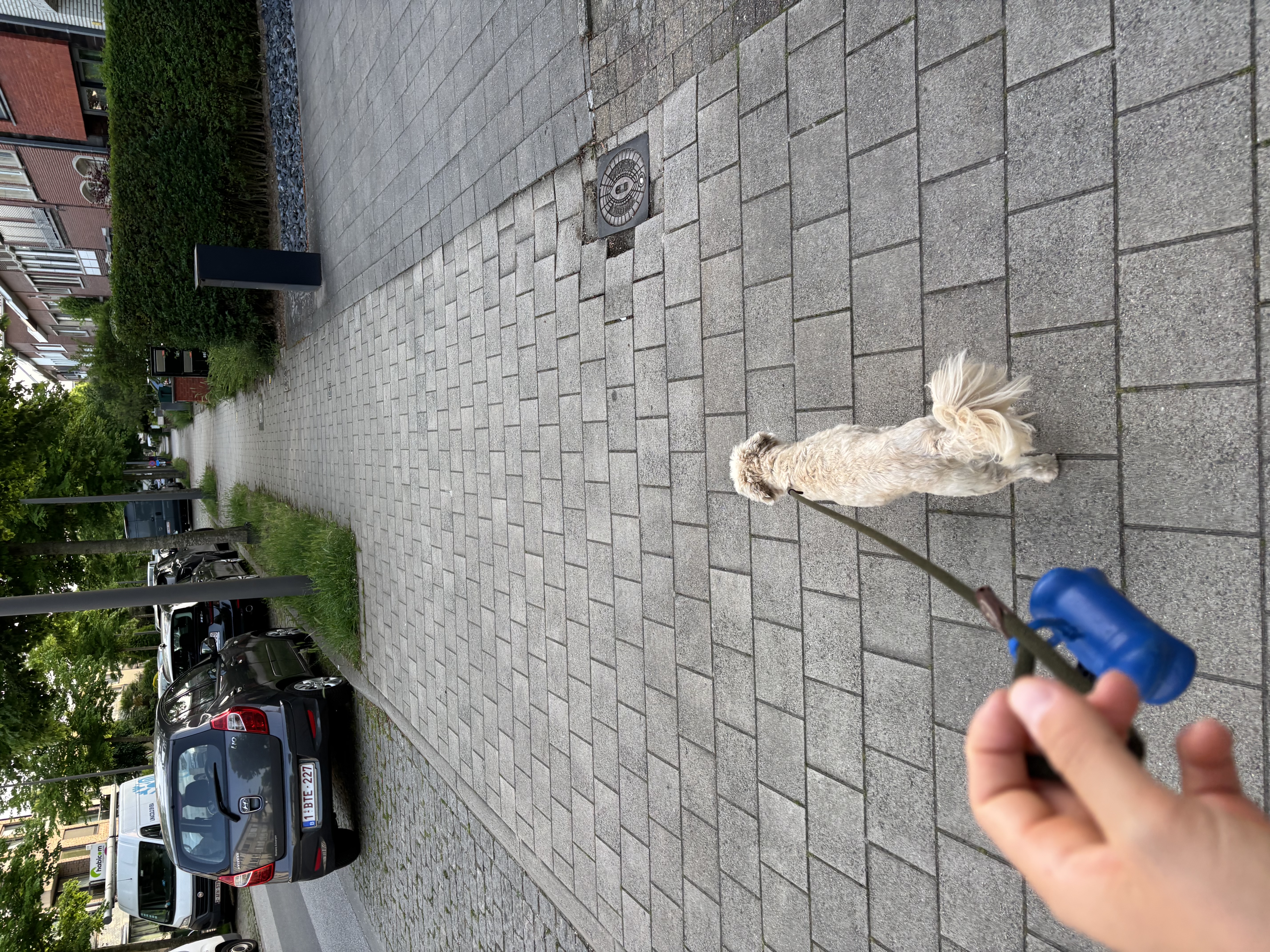 image-22