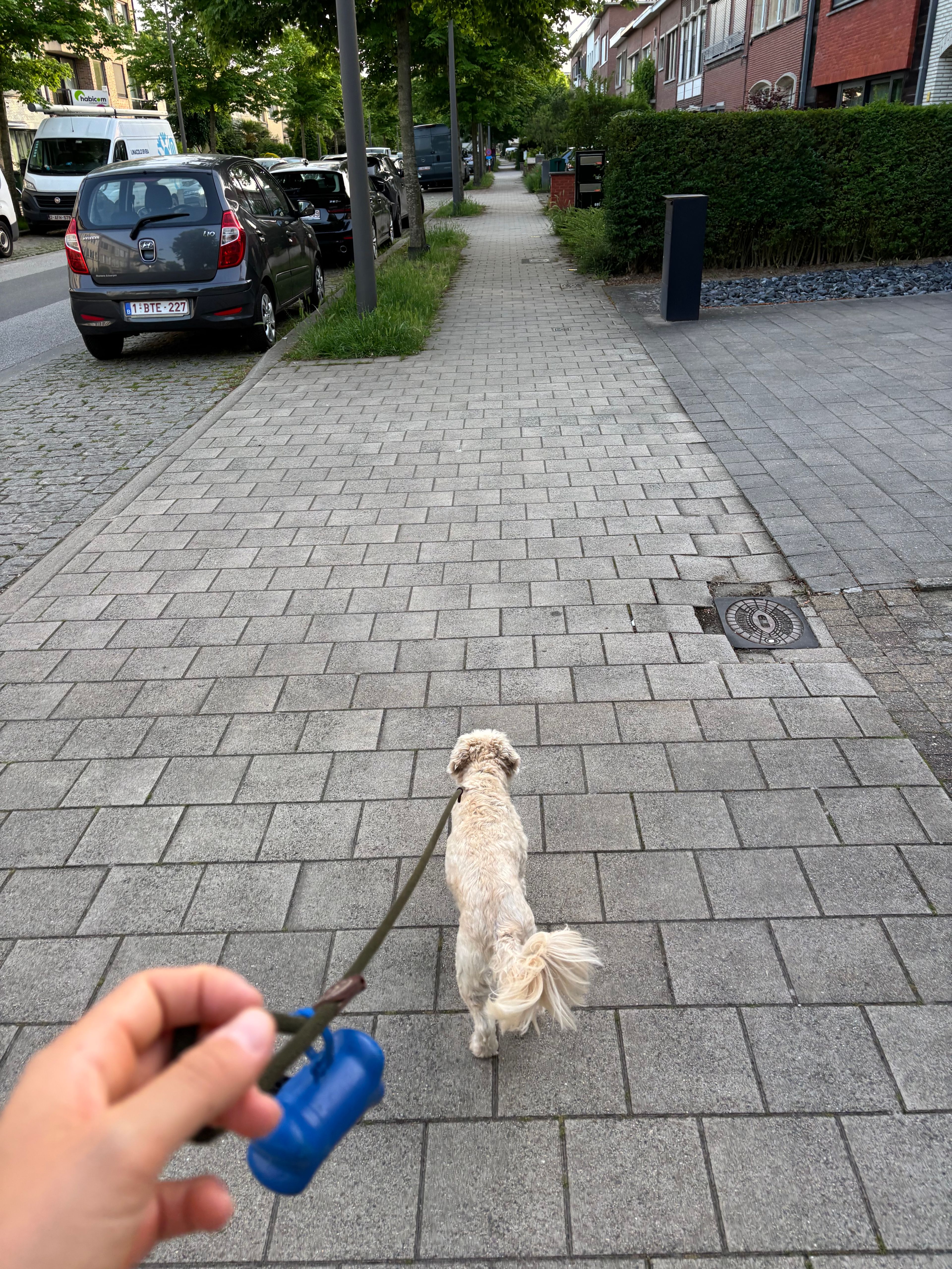 image-22