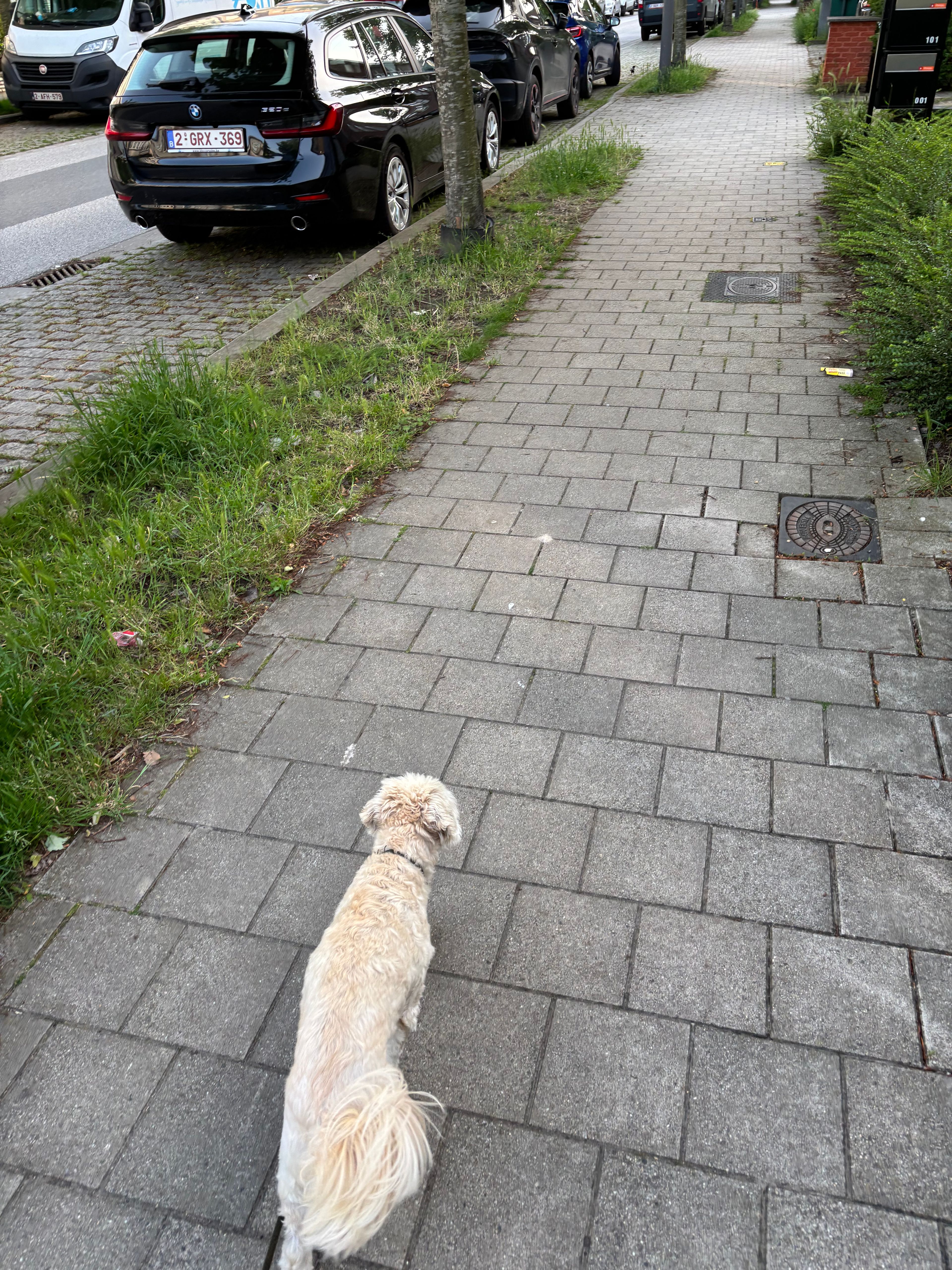 image-27
