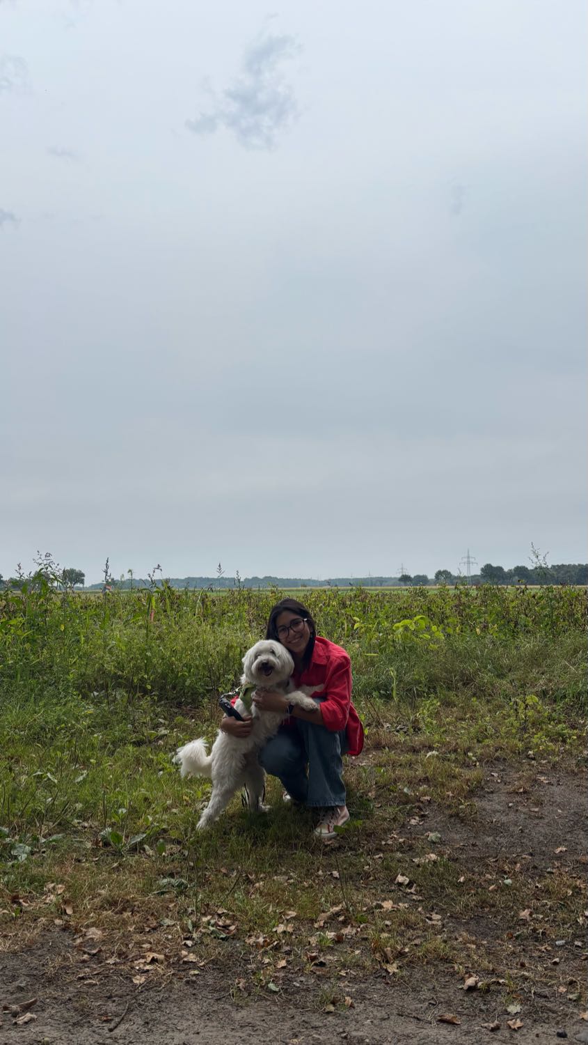 image-2