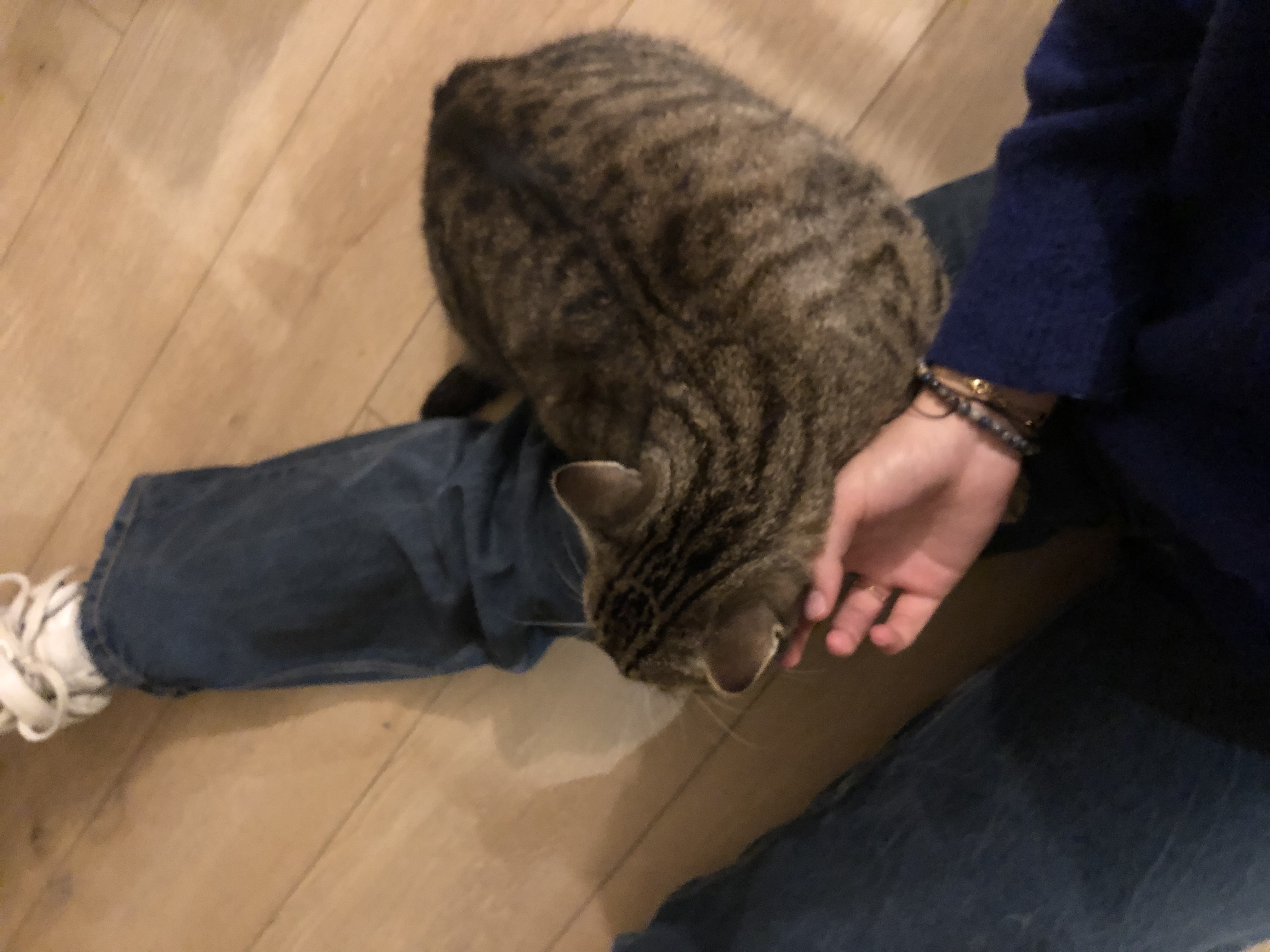 image-15