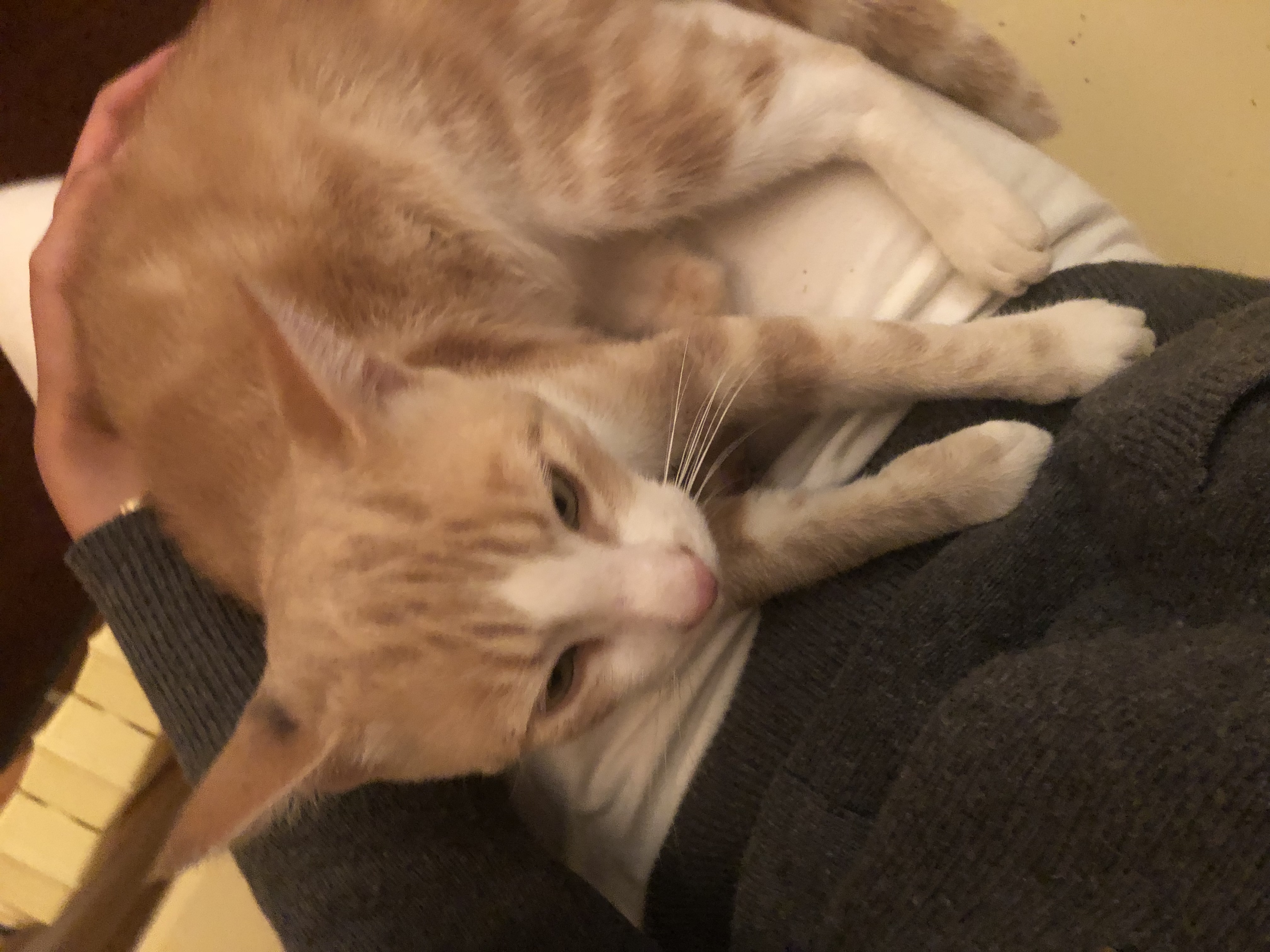 image-8