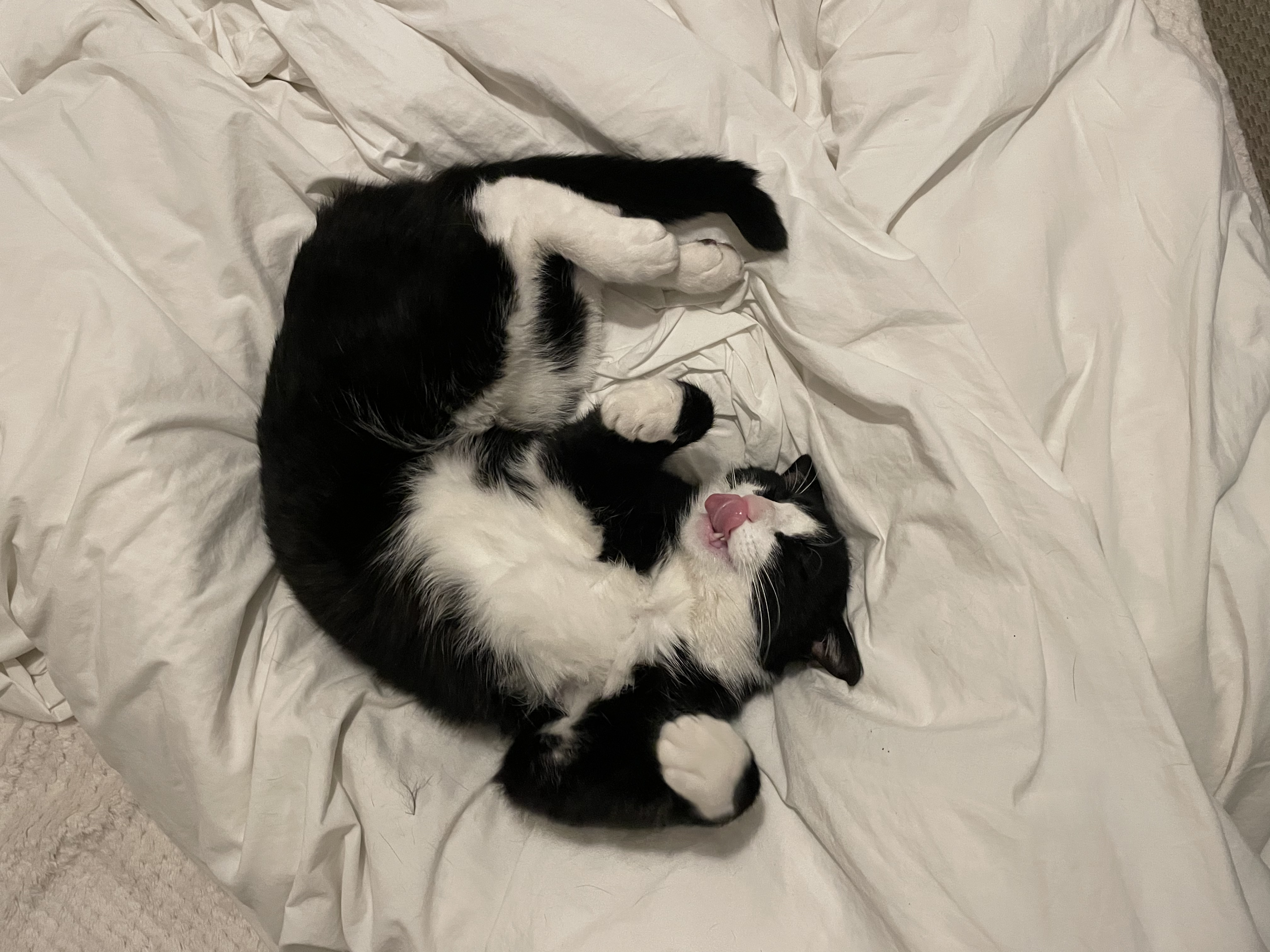 image-6