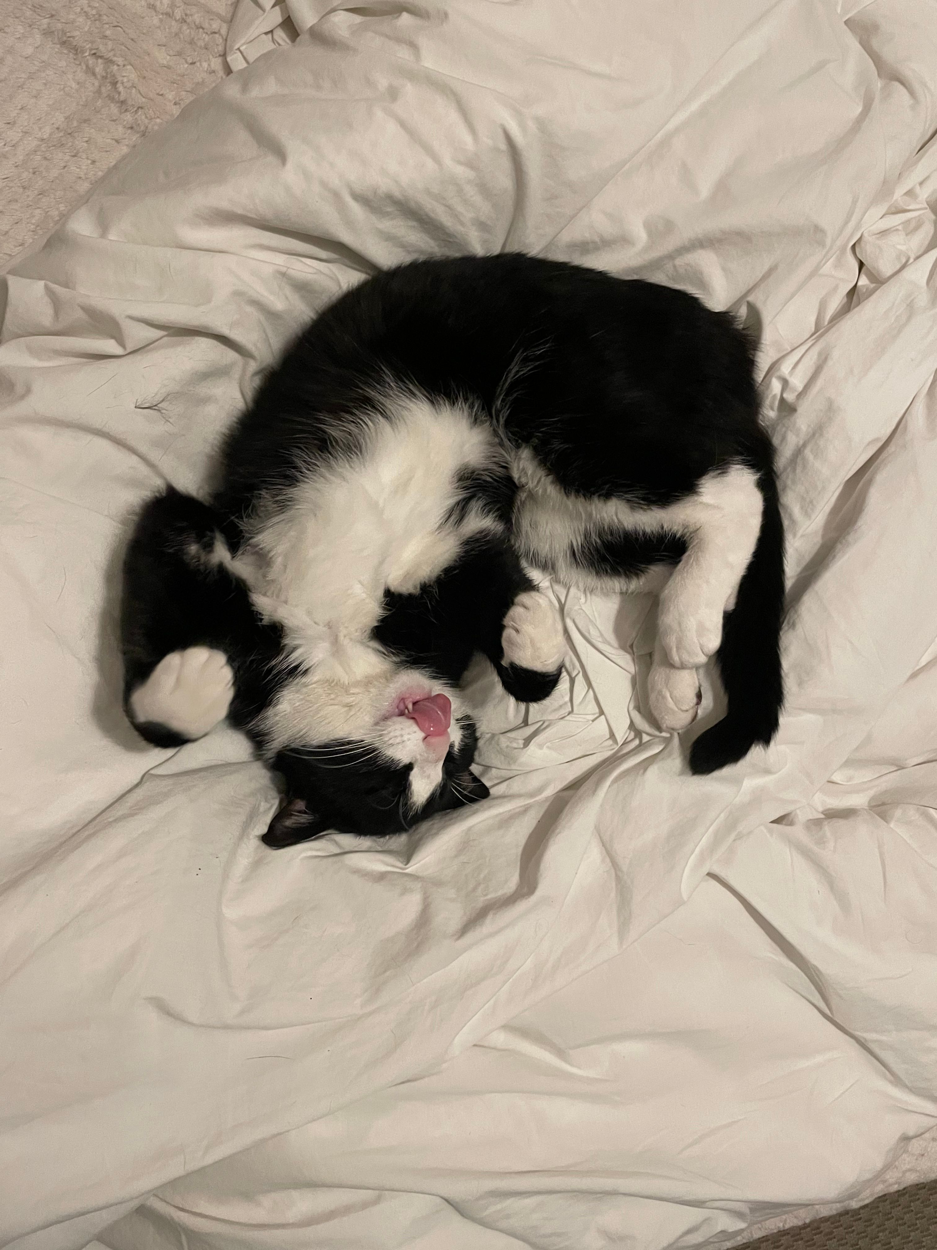 image-6