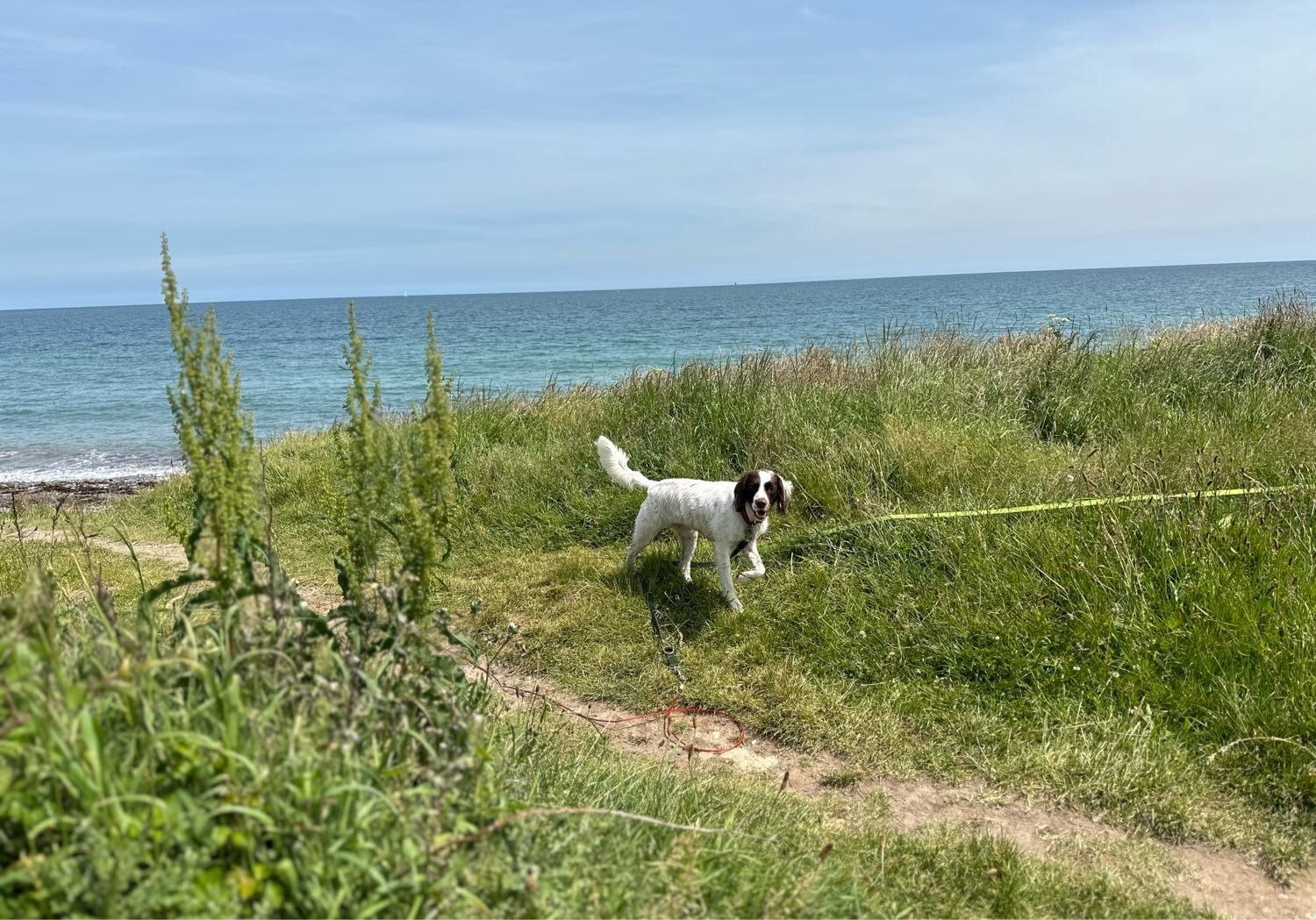 image-6