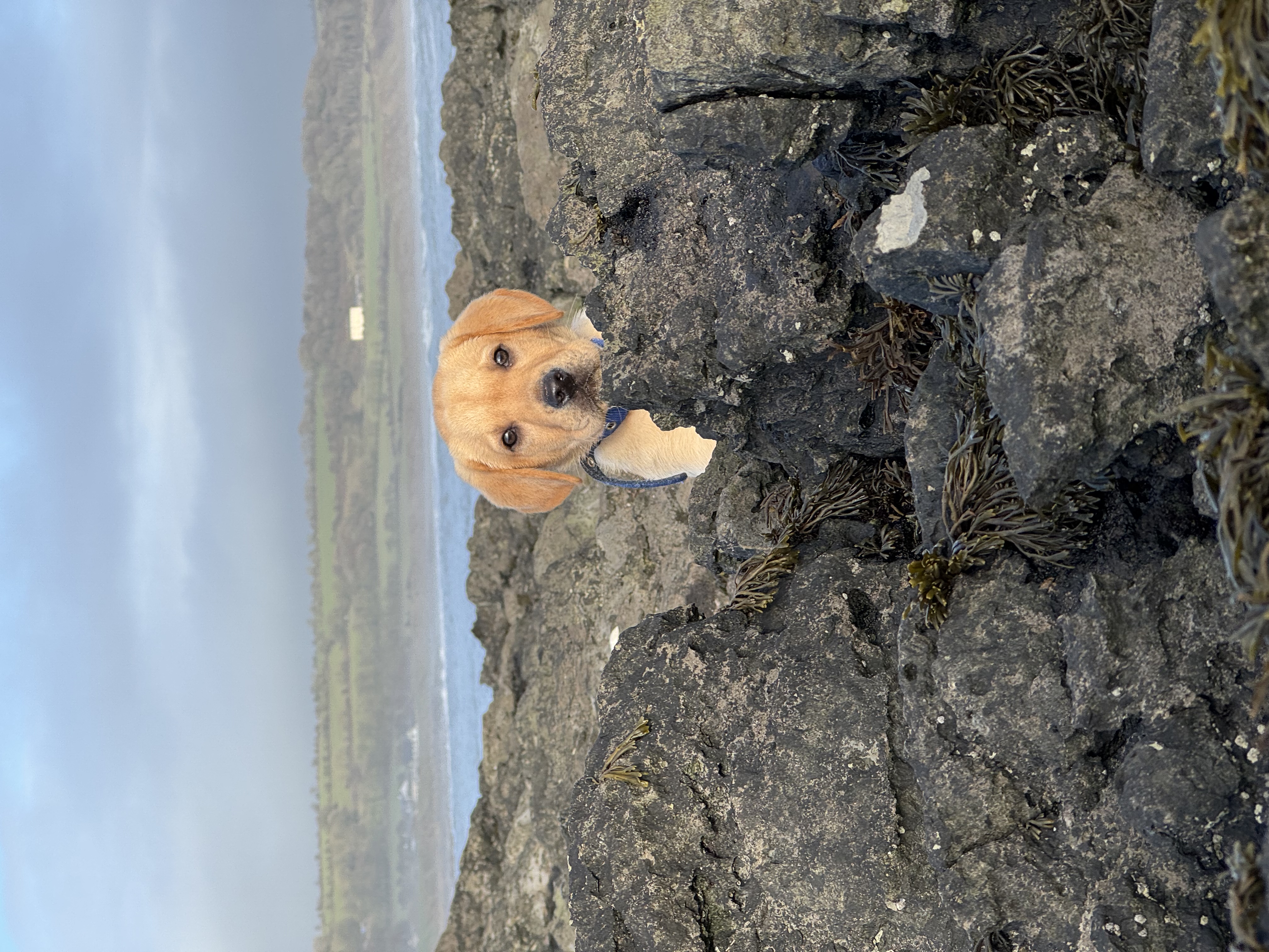 image-7