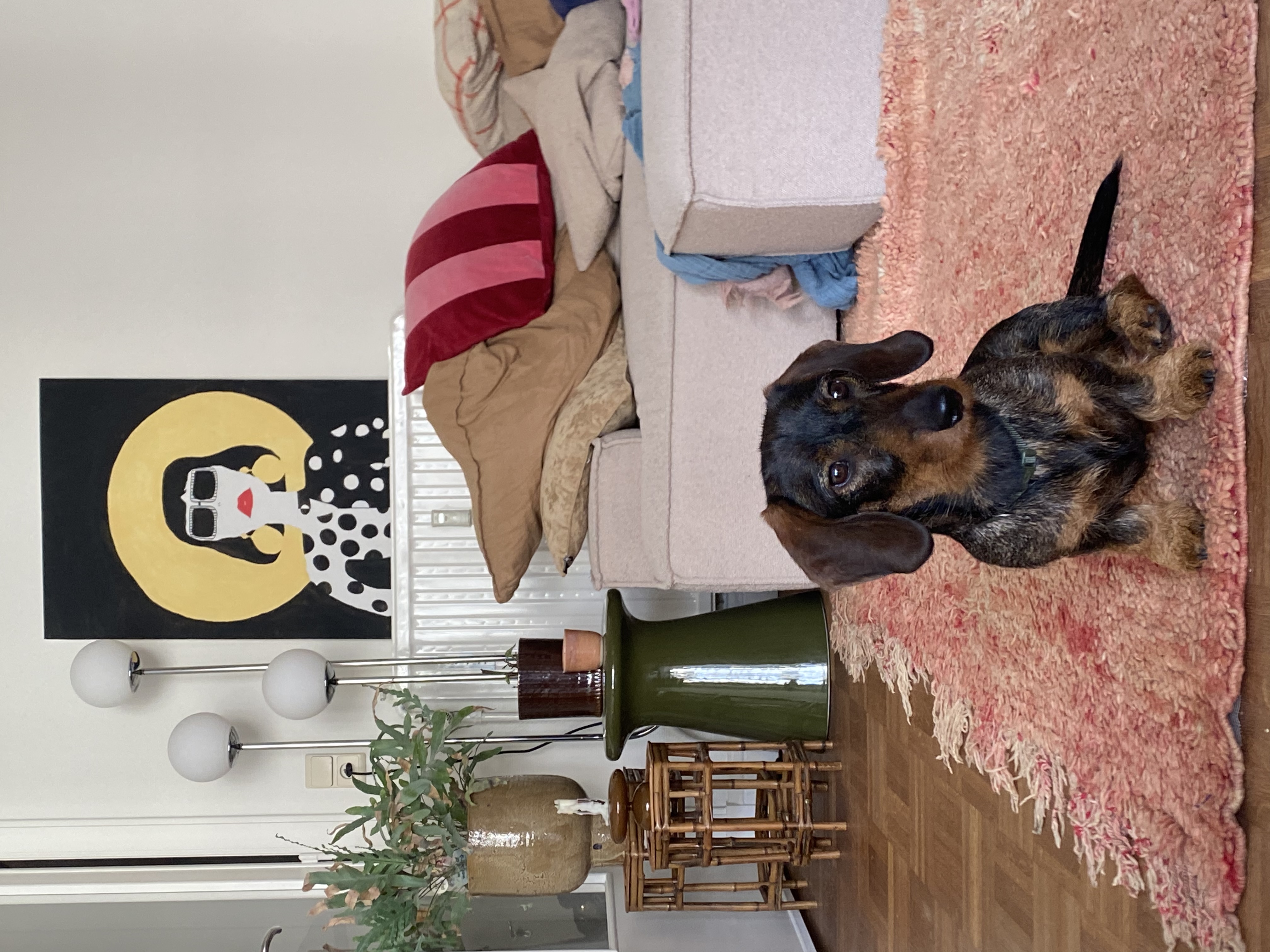 image-13