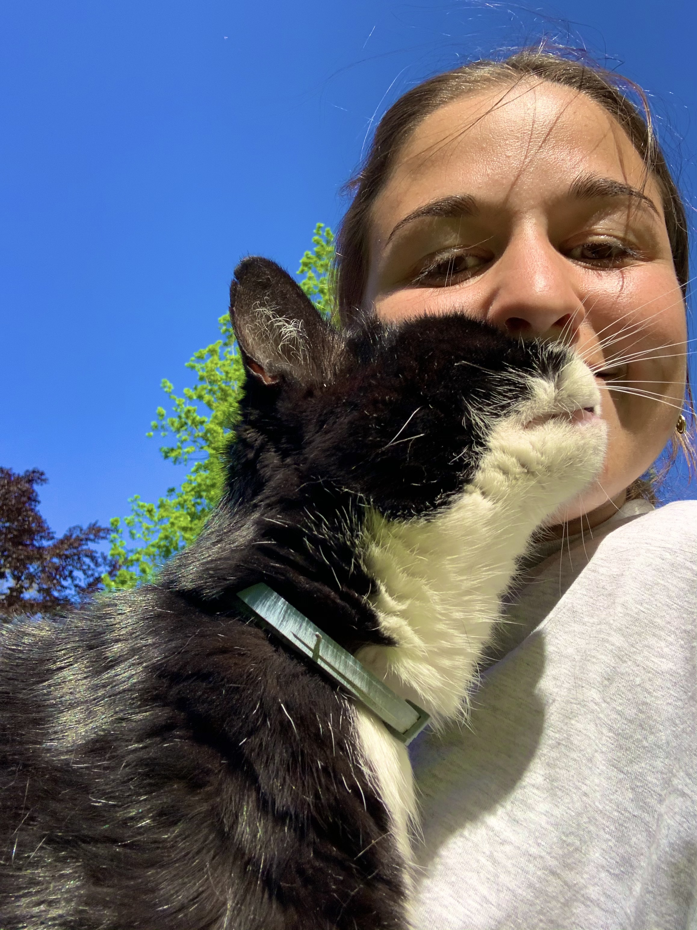 image-8