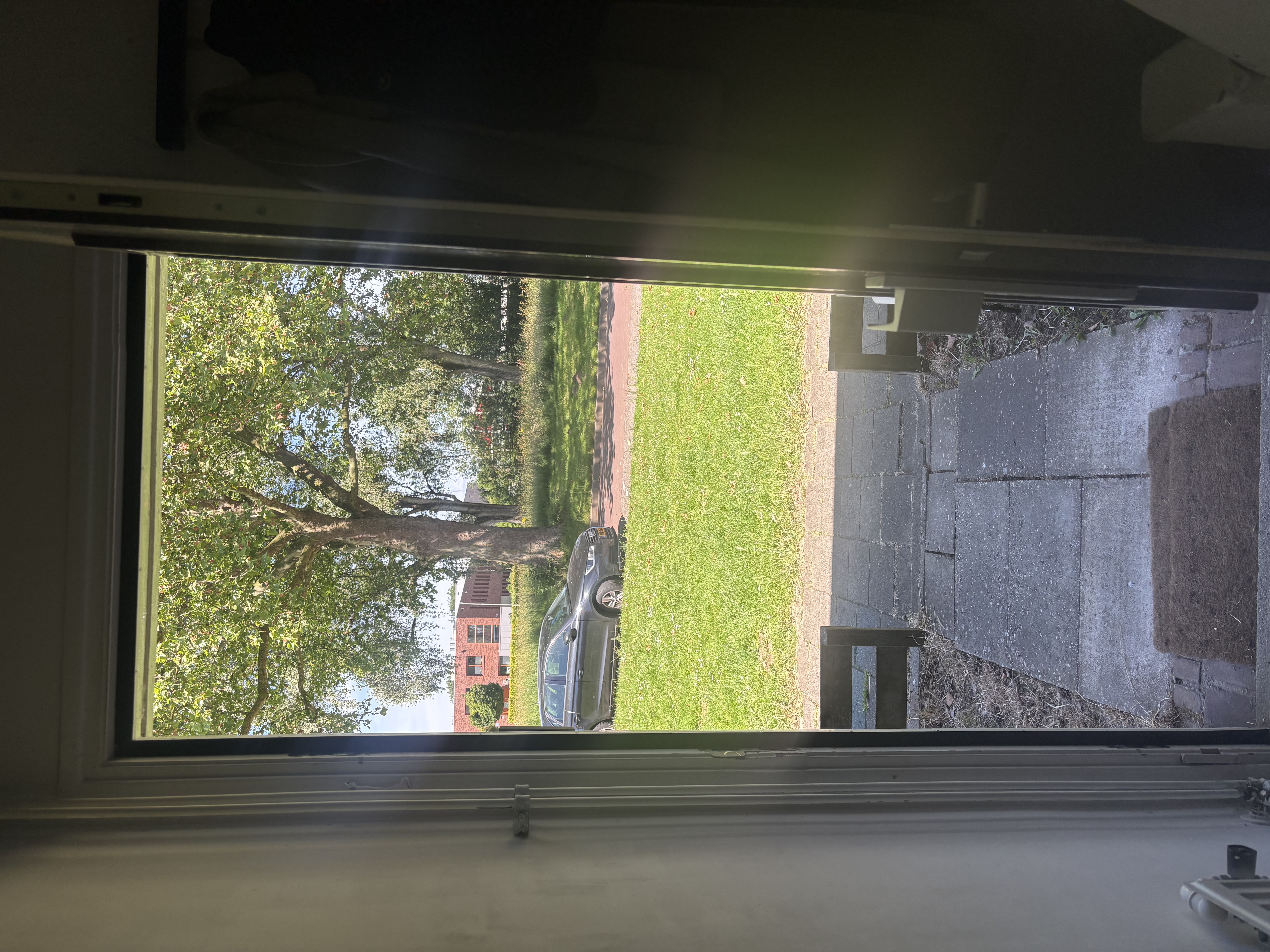 image-10