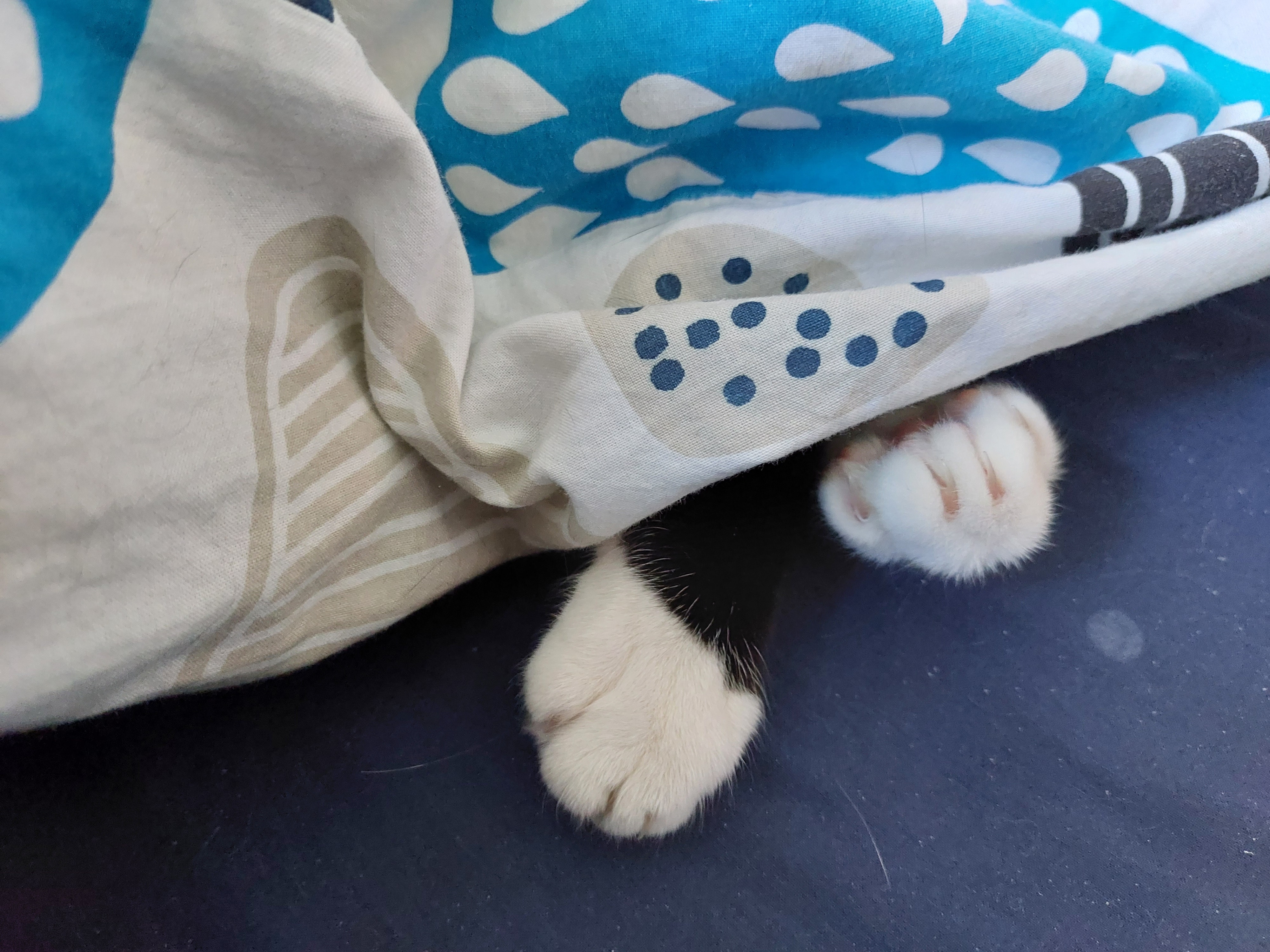 image-7