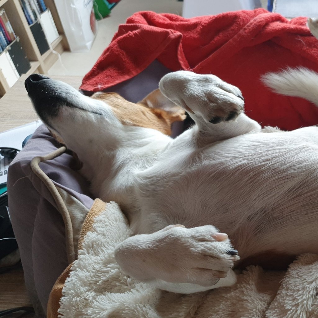 Oskar
