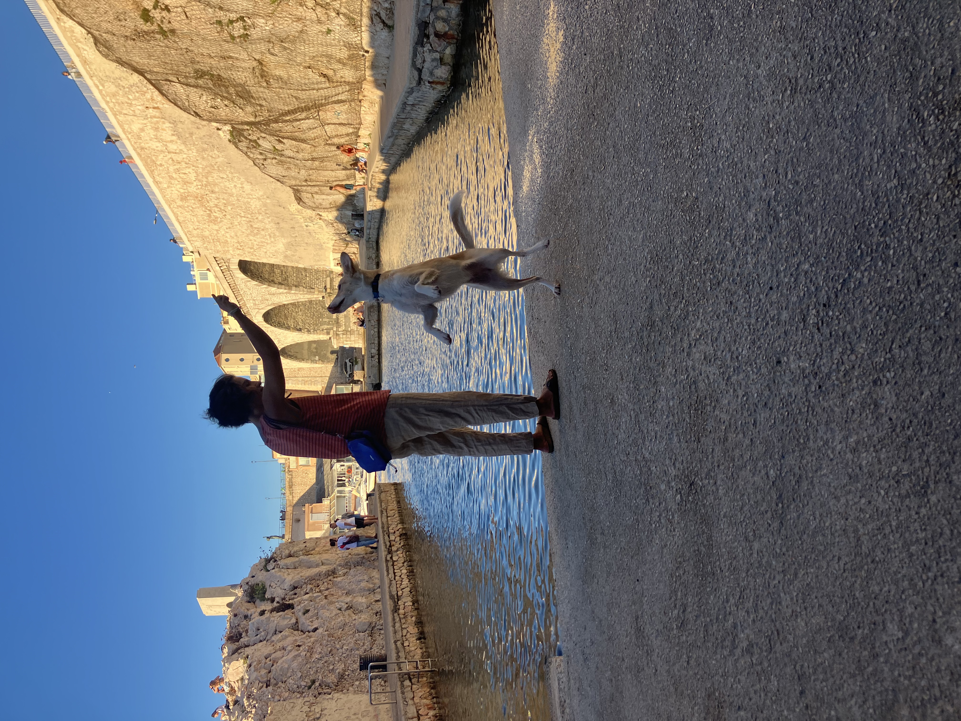 image-4