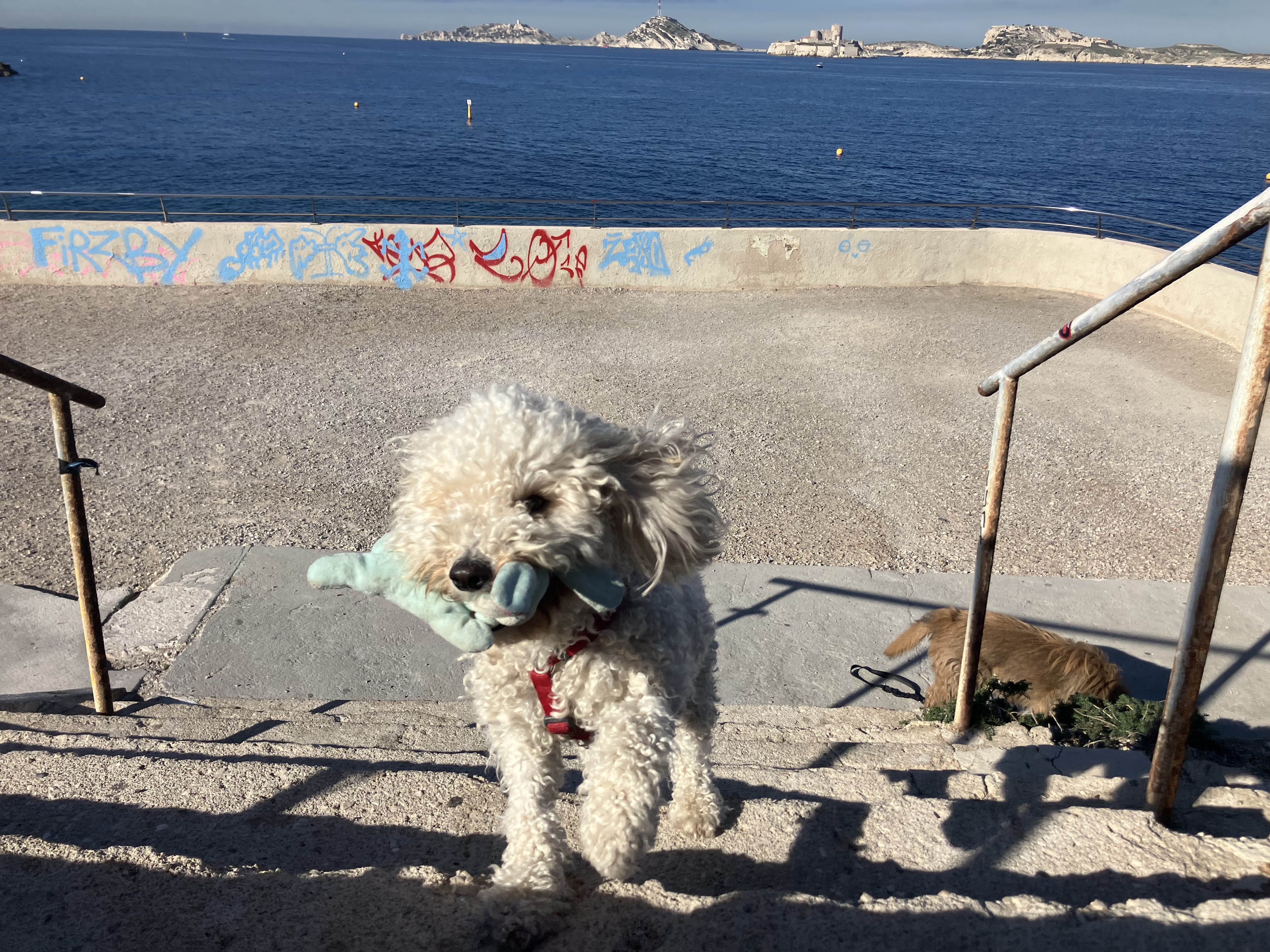 image-8