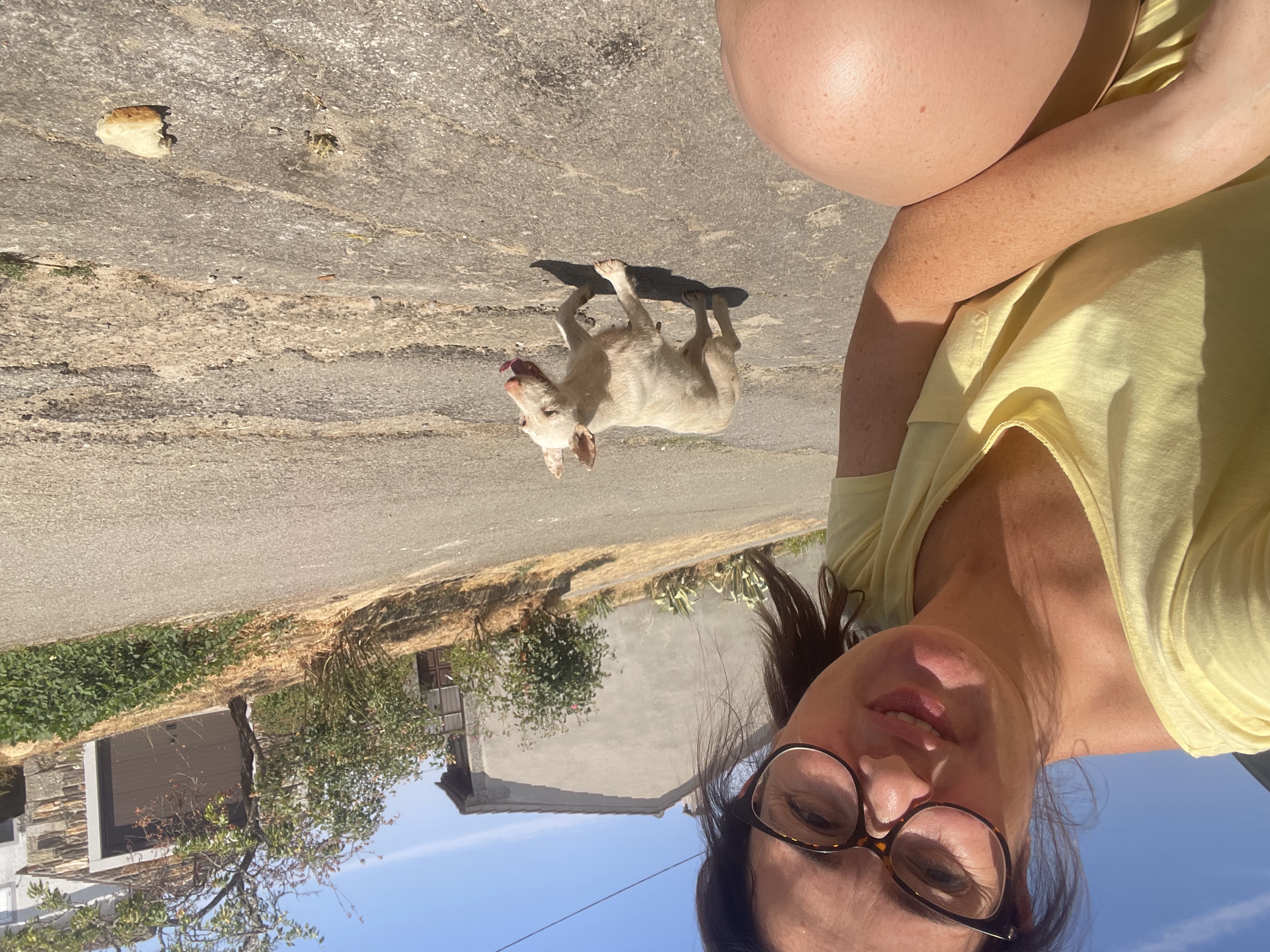 image-5
