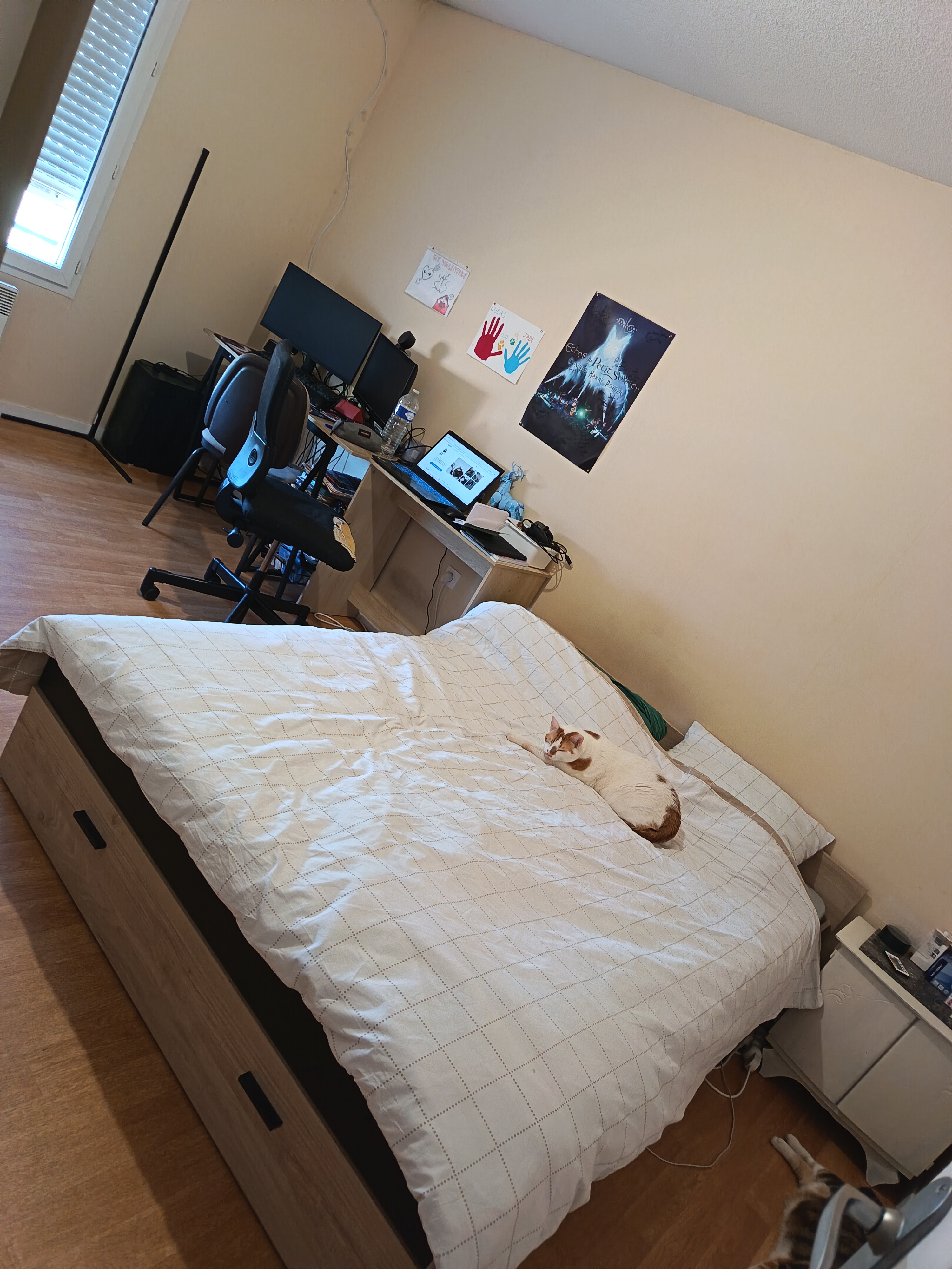 image-9