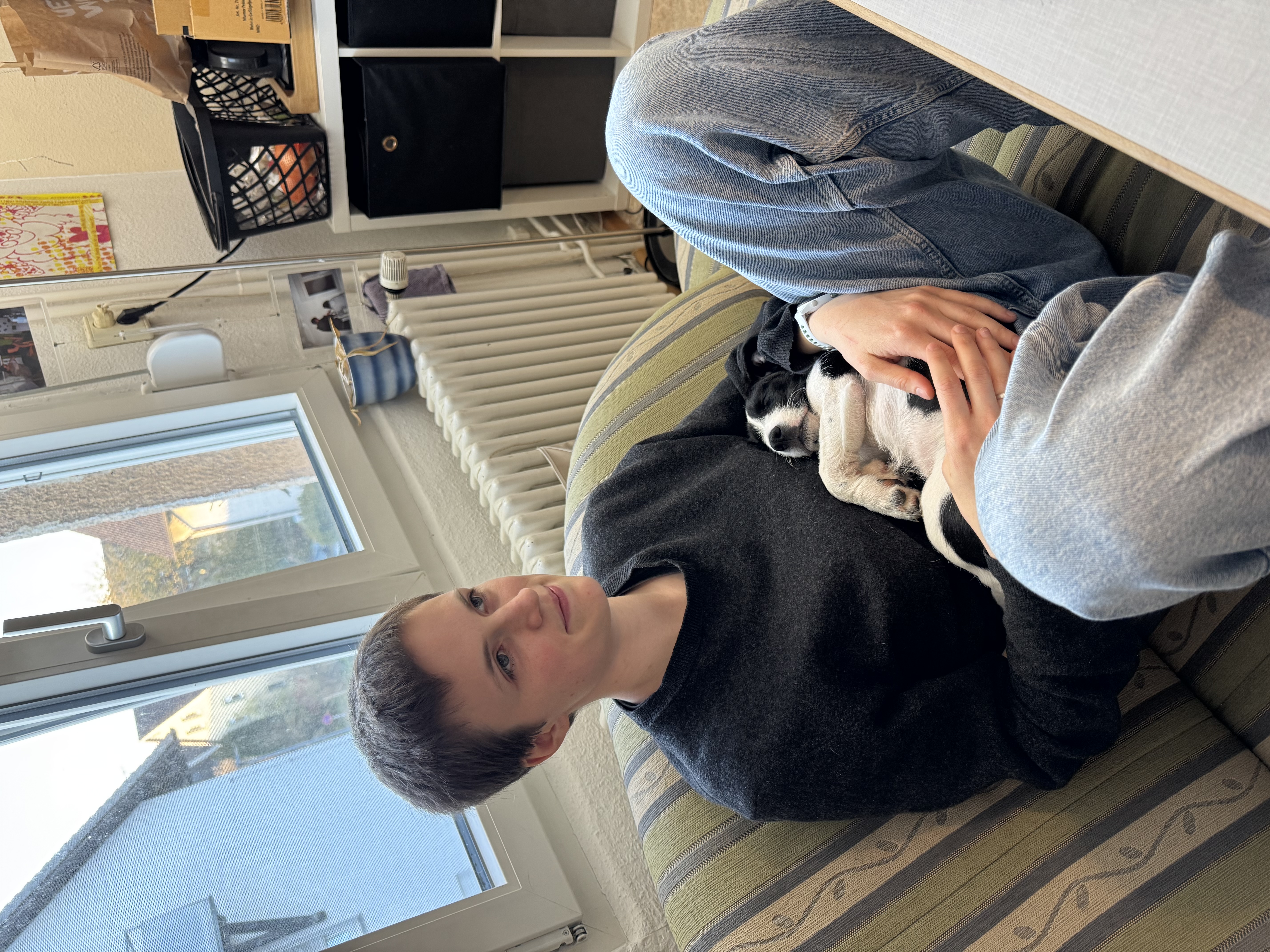 image-8